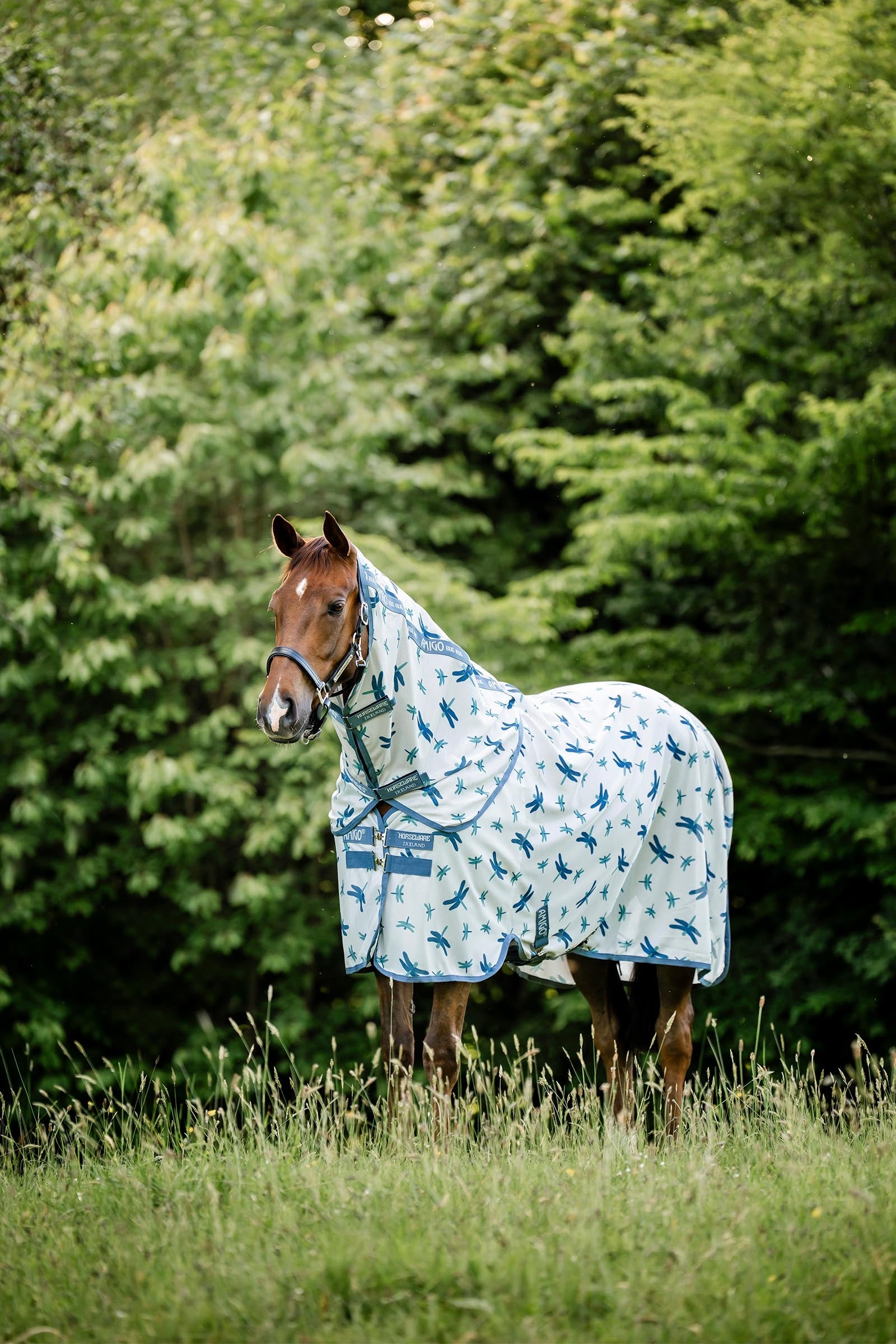 Horseware Amigo Fluedækken Plus Hestedækken