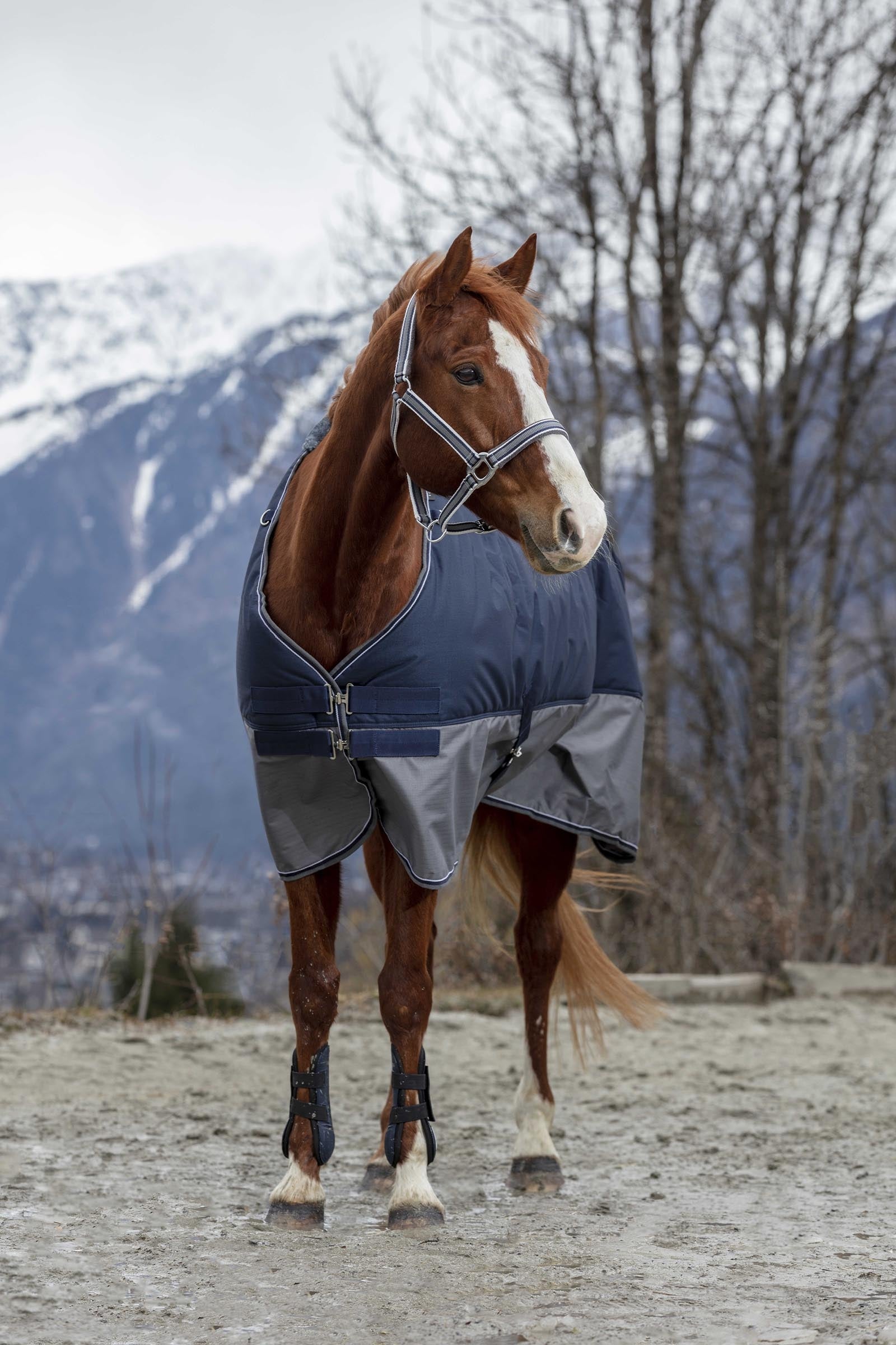 Equi Theme EQUITHÈME TYREX 600D Turnout Rug Fleece Lined Horse Rugs