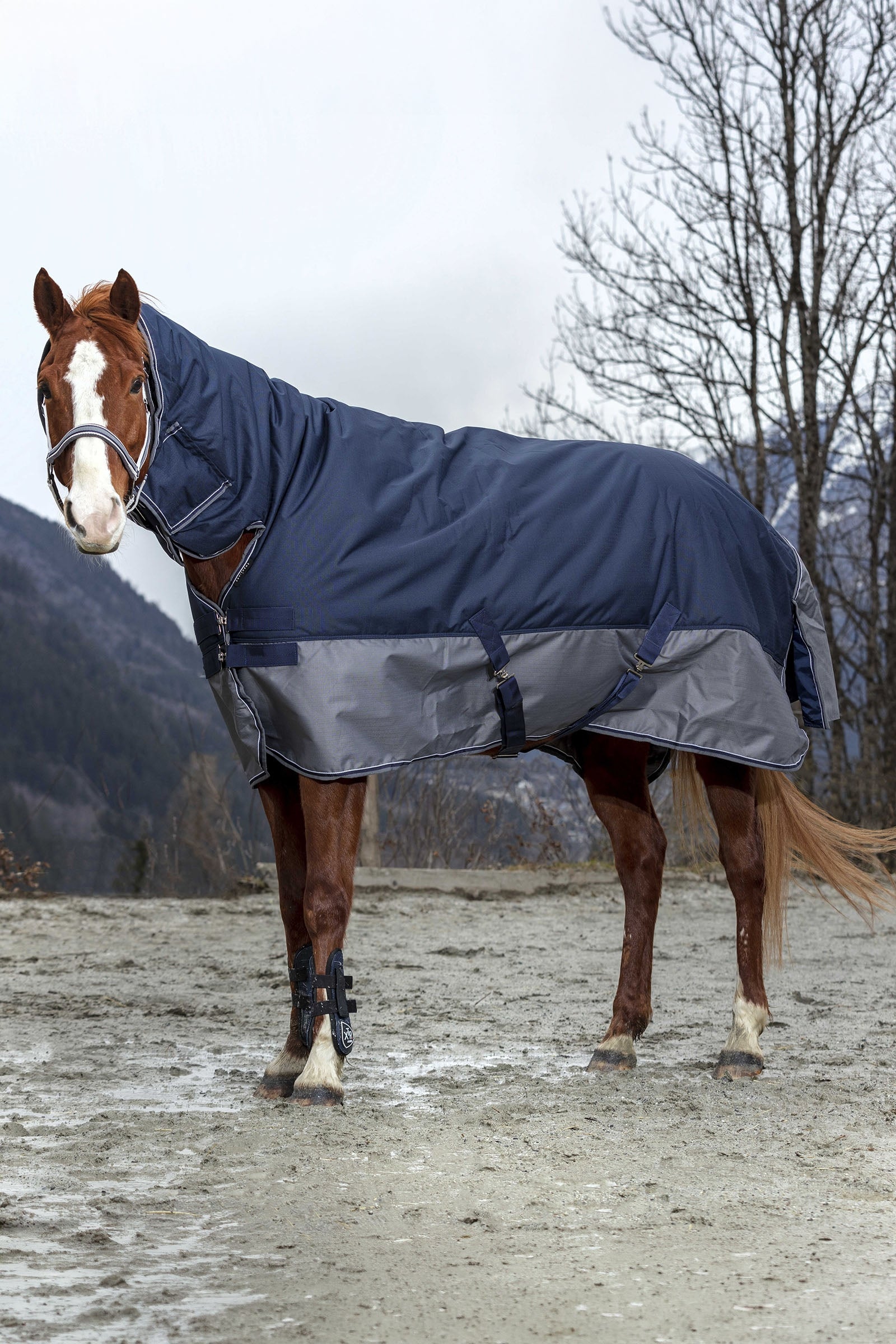 Equi Theme EQUITHÈME TYREX 600D Turnout Rug Fleece Lined Horse Rugs