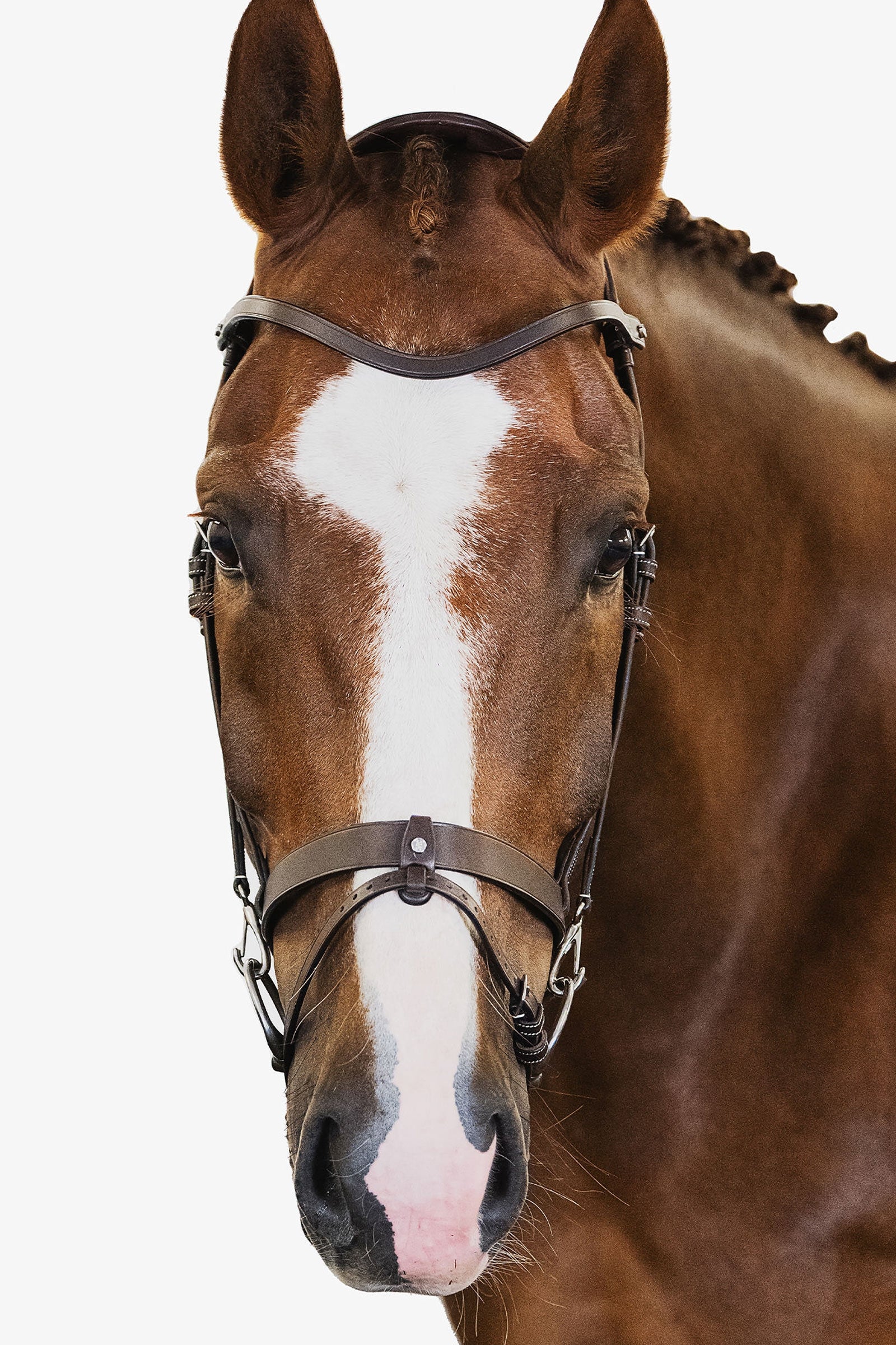PS of Sweden London Bridle Bridles & Reins