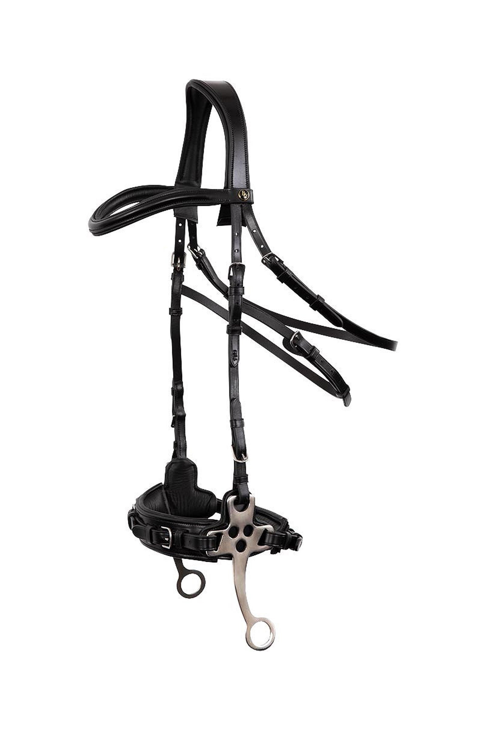 BR Lydney Anatomical Hackamore Bid