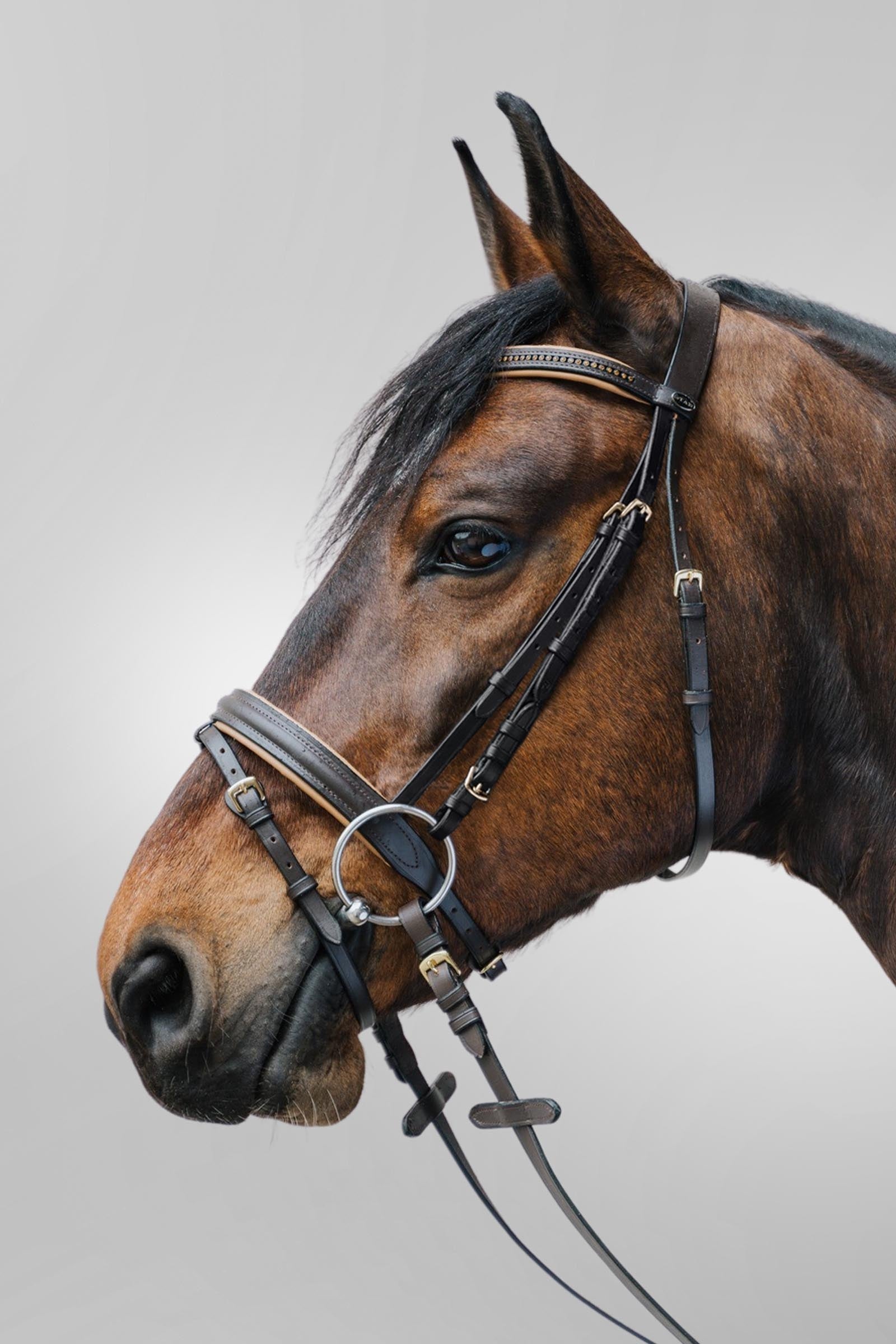 Star Diamant Bridle With Combined Noseband Bridles & Reins