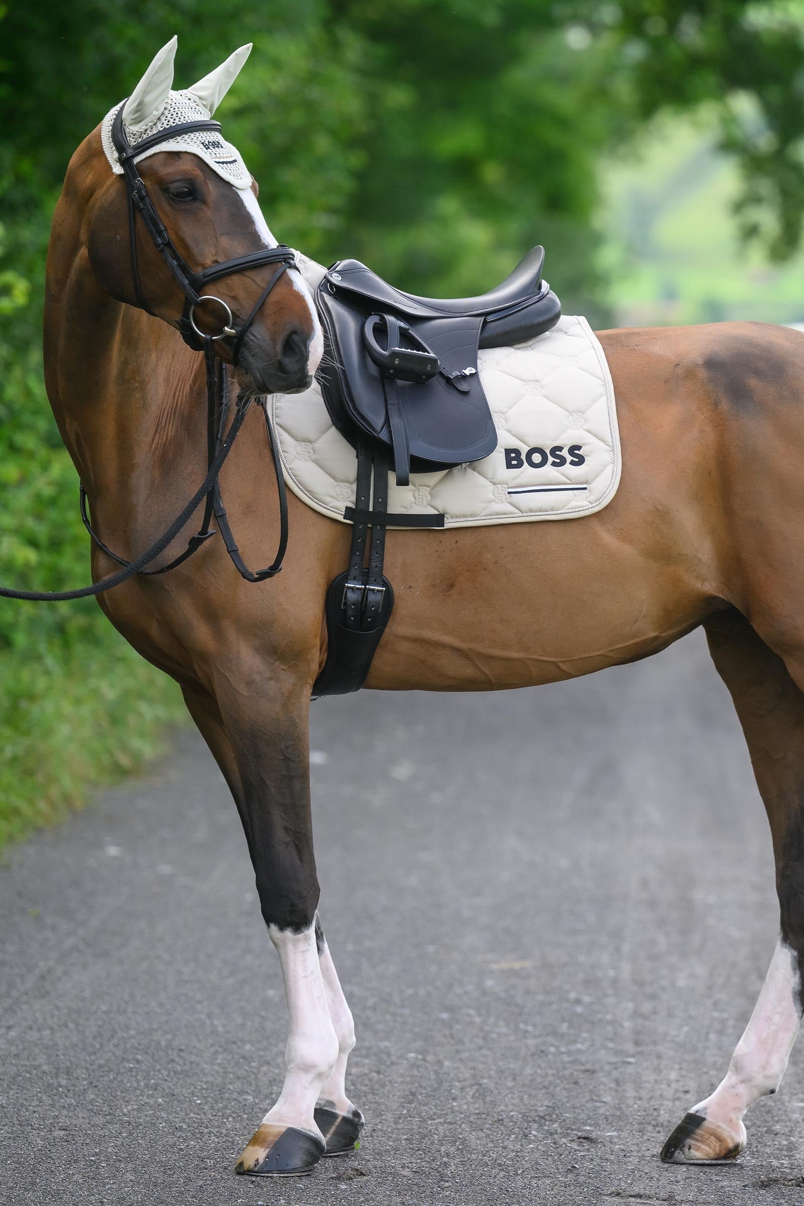 BOSS Equestrian Boss Cambridge Dressage Saddle Pad Saddle Pads