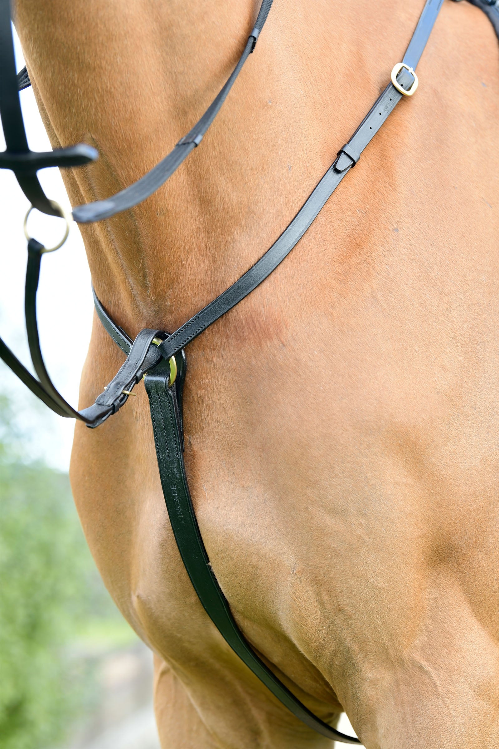 Kincade Classic 3 Point Breastplate With Running Martingale Bridles & Reins