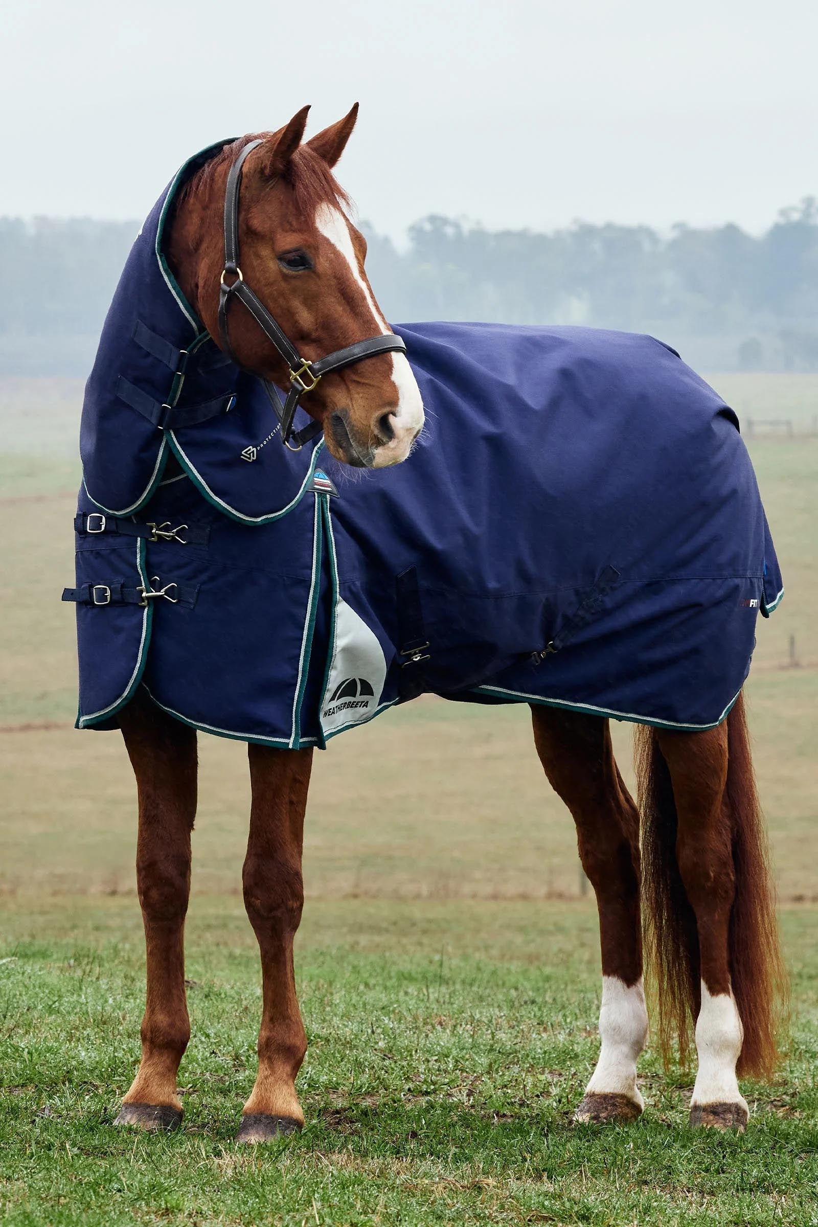 Weatherbeeta Comfitec Plus Dynamic Turnout Rug Detach-A-Neck 360g Horse Rugs
