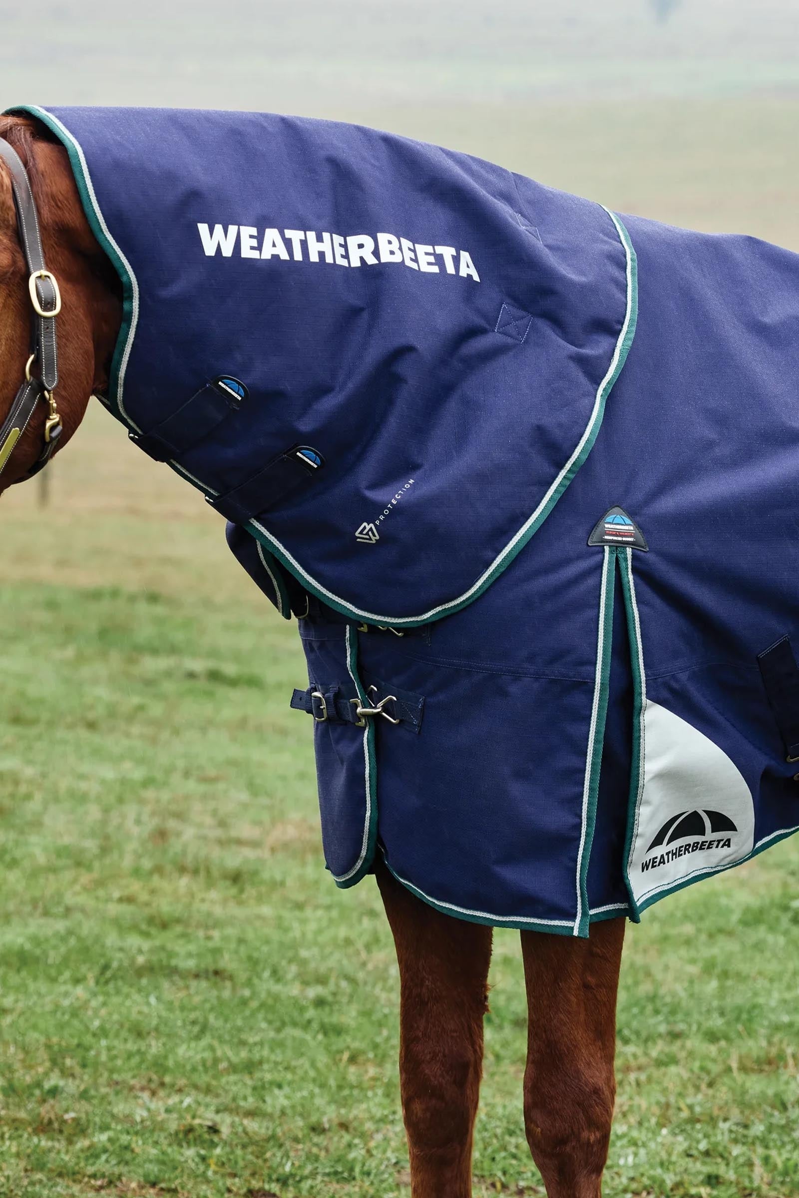 Weatherbeeta Comfitec Plus Dynamic Turnout Rug Detach-A-Neck 360g Horse Rugs
