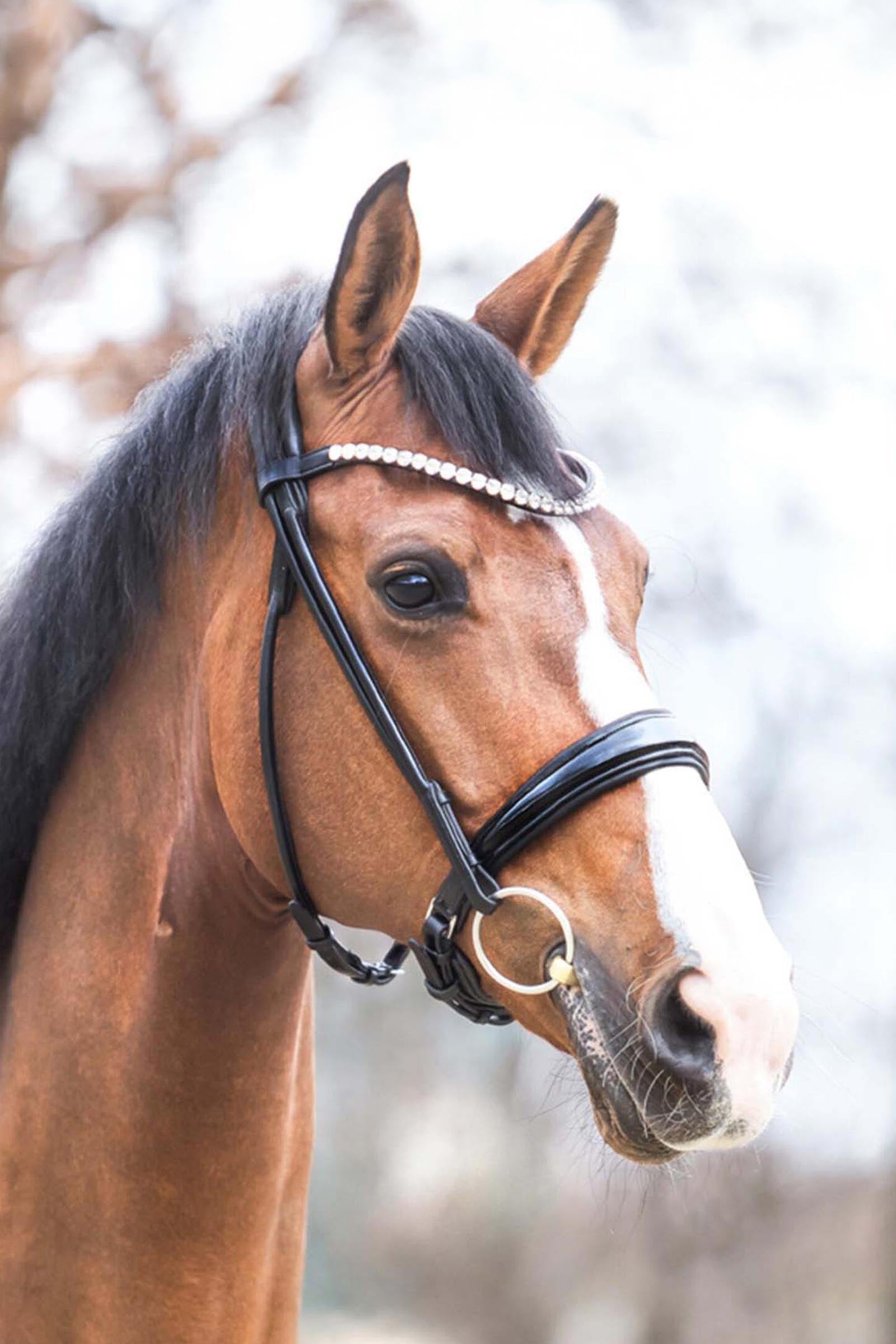 Kavalkade Florina Patent Leather Bridle With Crank Noseband Bridles & Reins