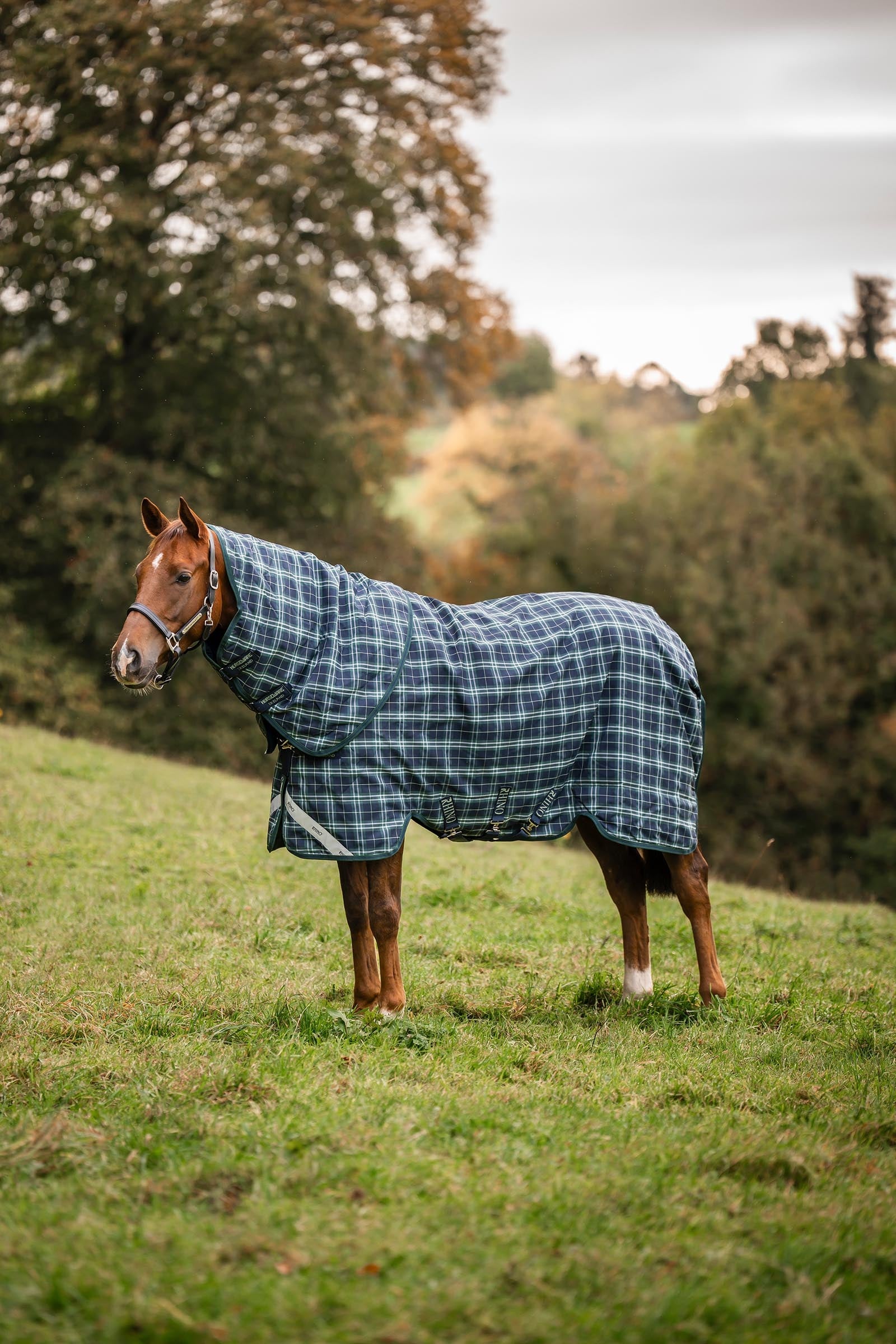 Horseware Rhino Plus Turnout Lite incl. detachable neck, 100g Horse Rugs