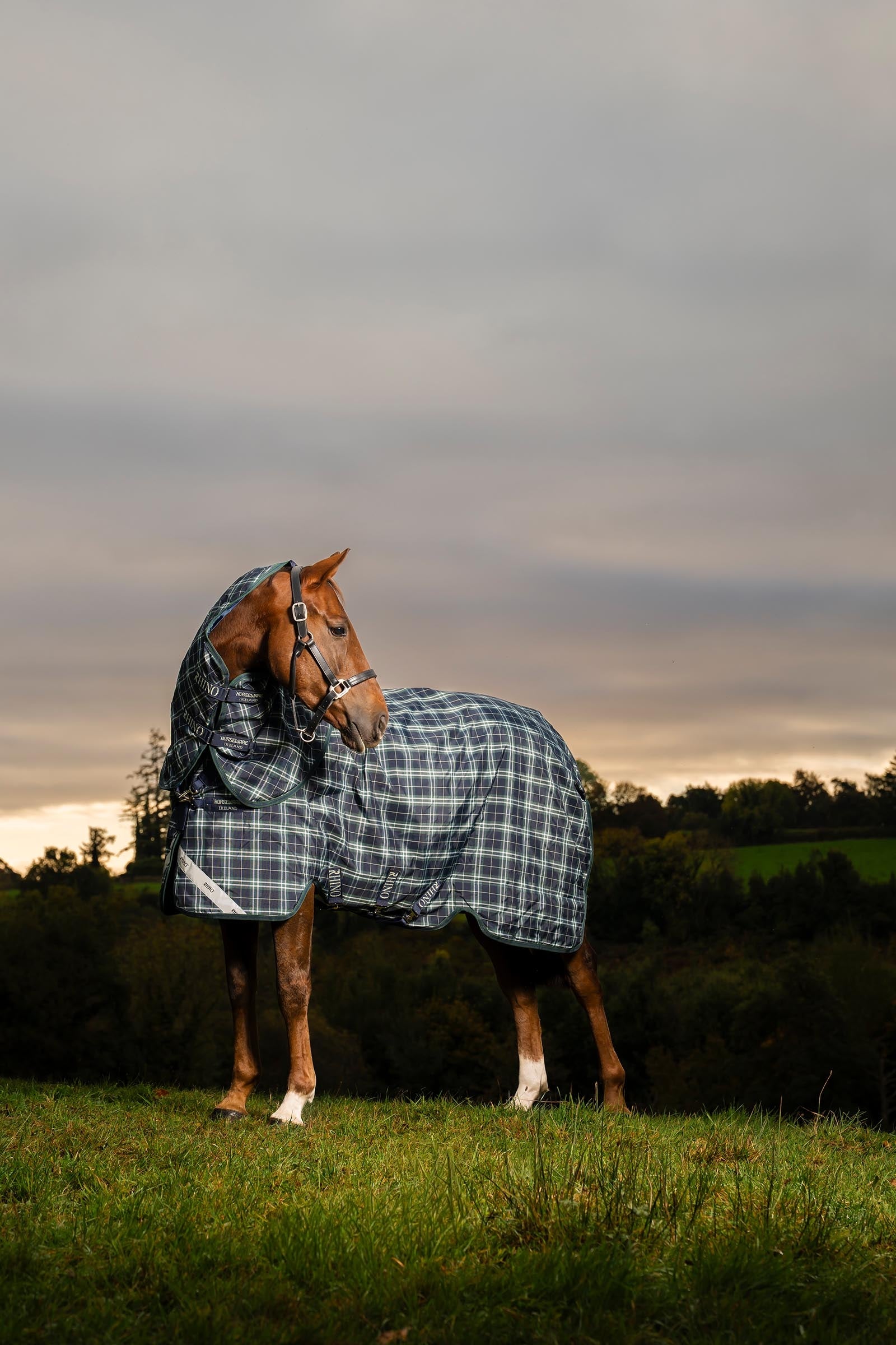 Horseware Rhino Plus Turnout Lite incl. detachable neck, 100g Horse Rugs