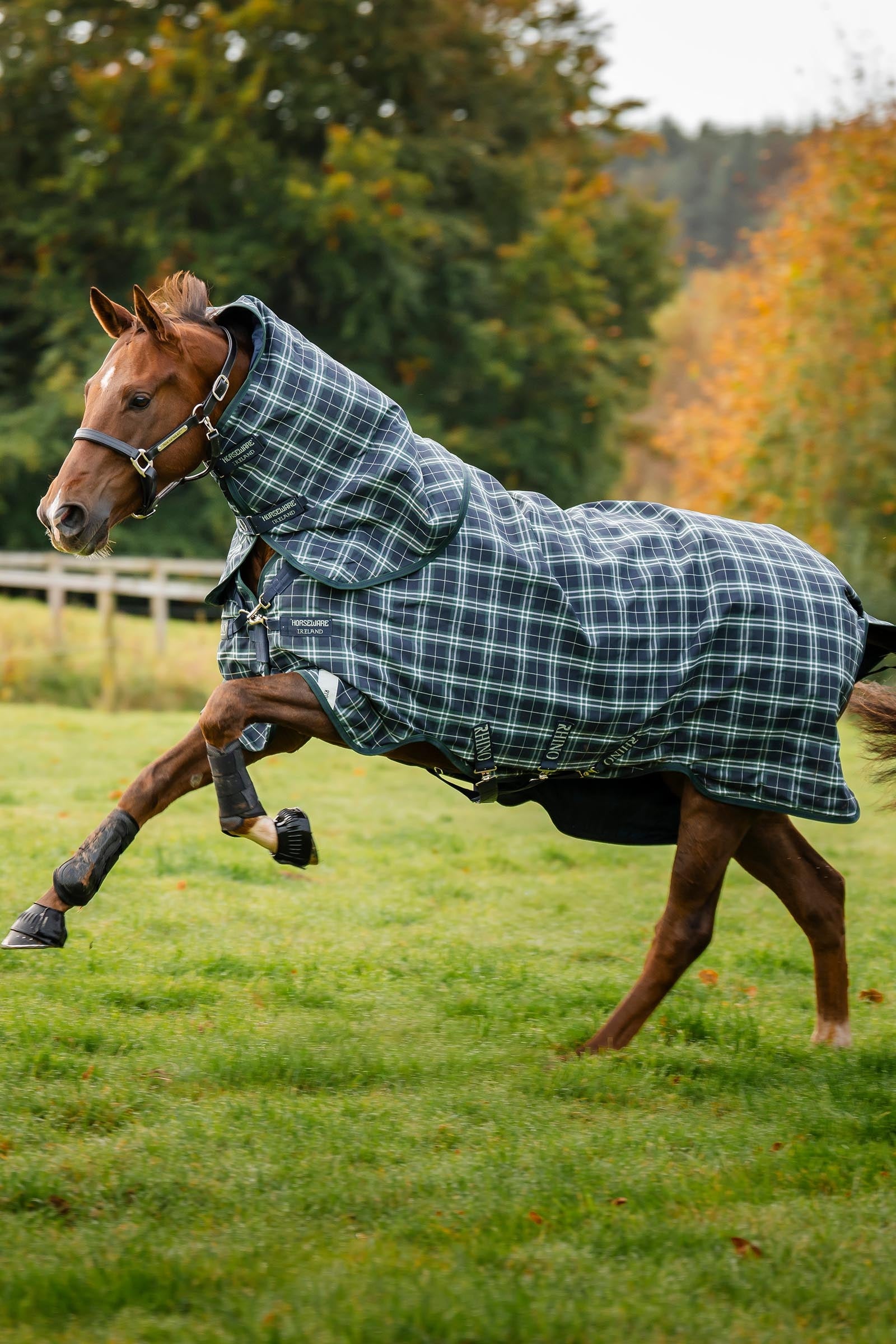 Horseware Rhino Plus Turnout Lite incl. detachable neck, 100g Horse Rugs