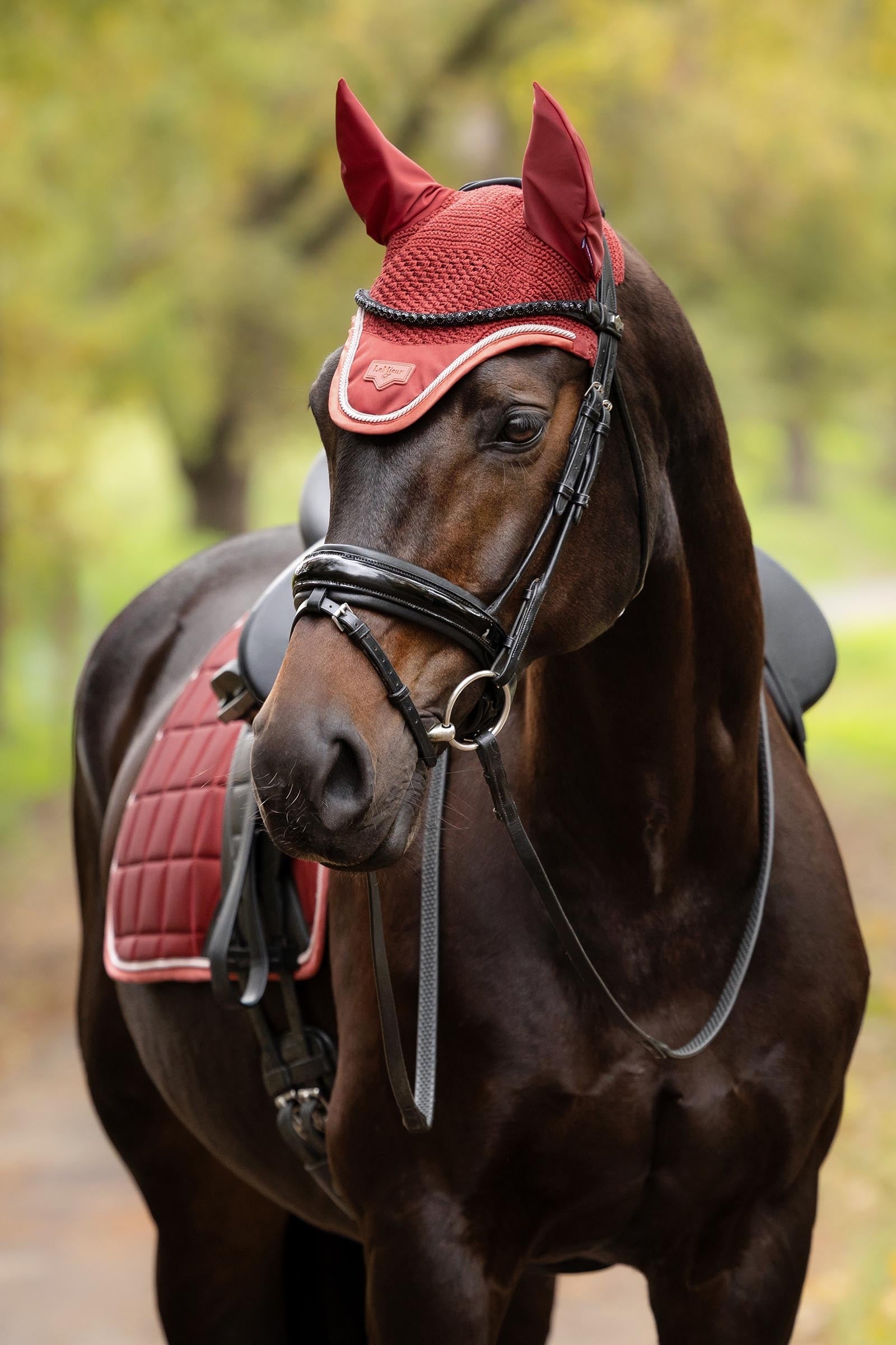 LeMieux Loire Fly Hood Saddle Pads