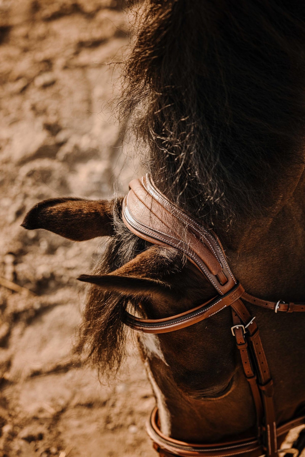 ERIC THOMAS Crown Bridle Bridles & Reins