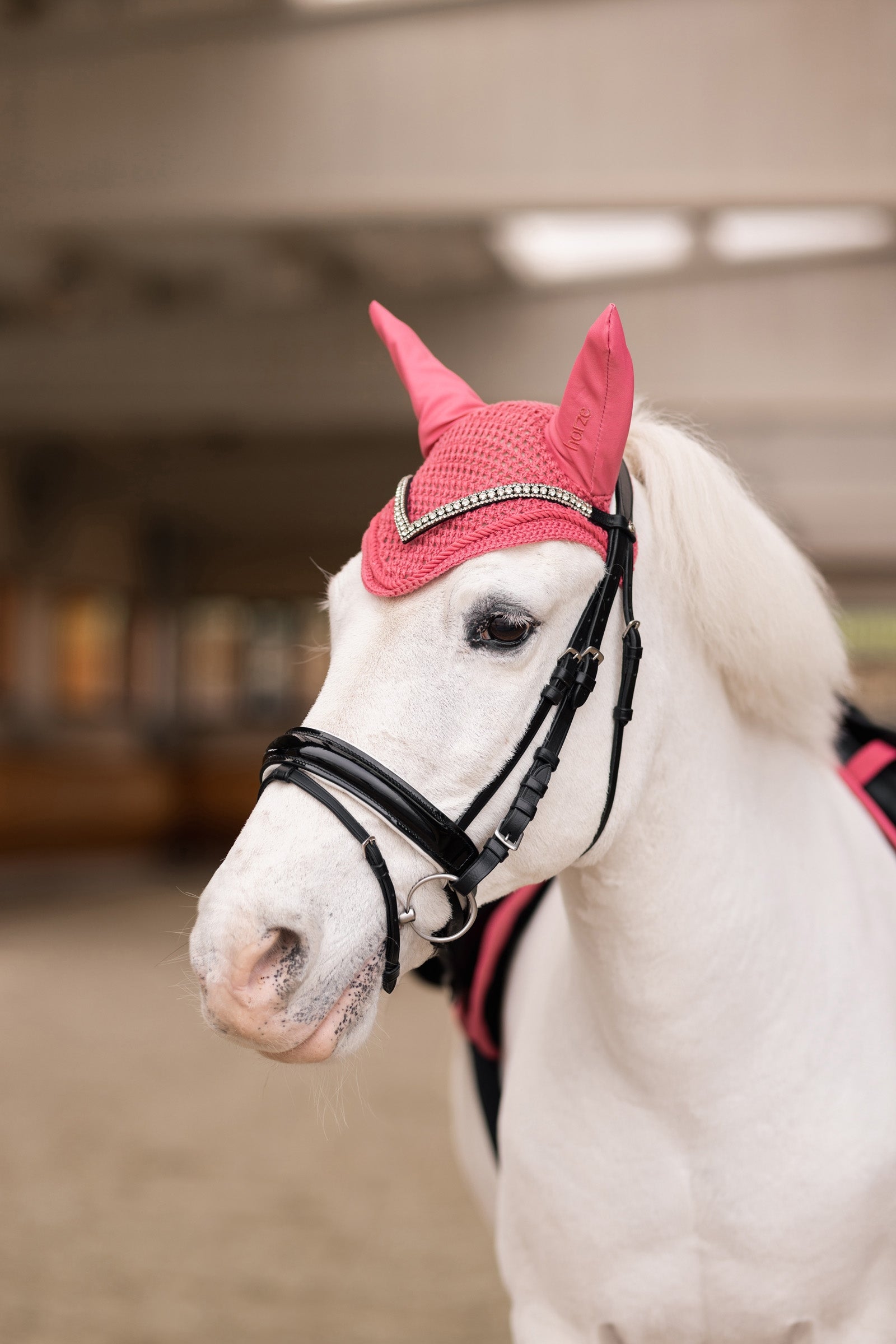 Horze Rising Star Ear Net Antifly Protection for Horses