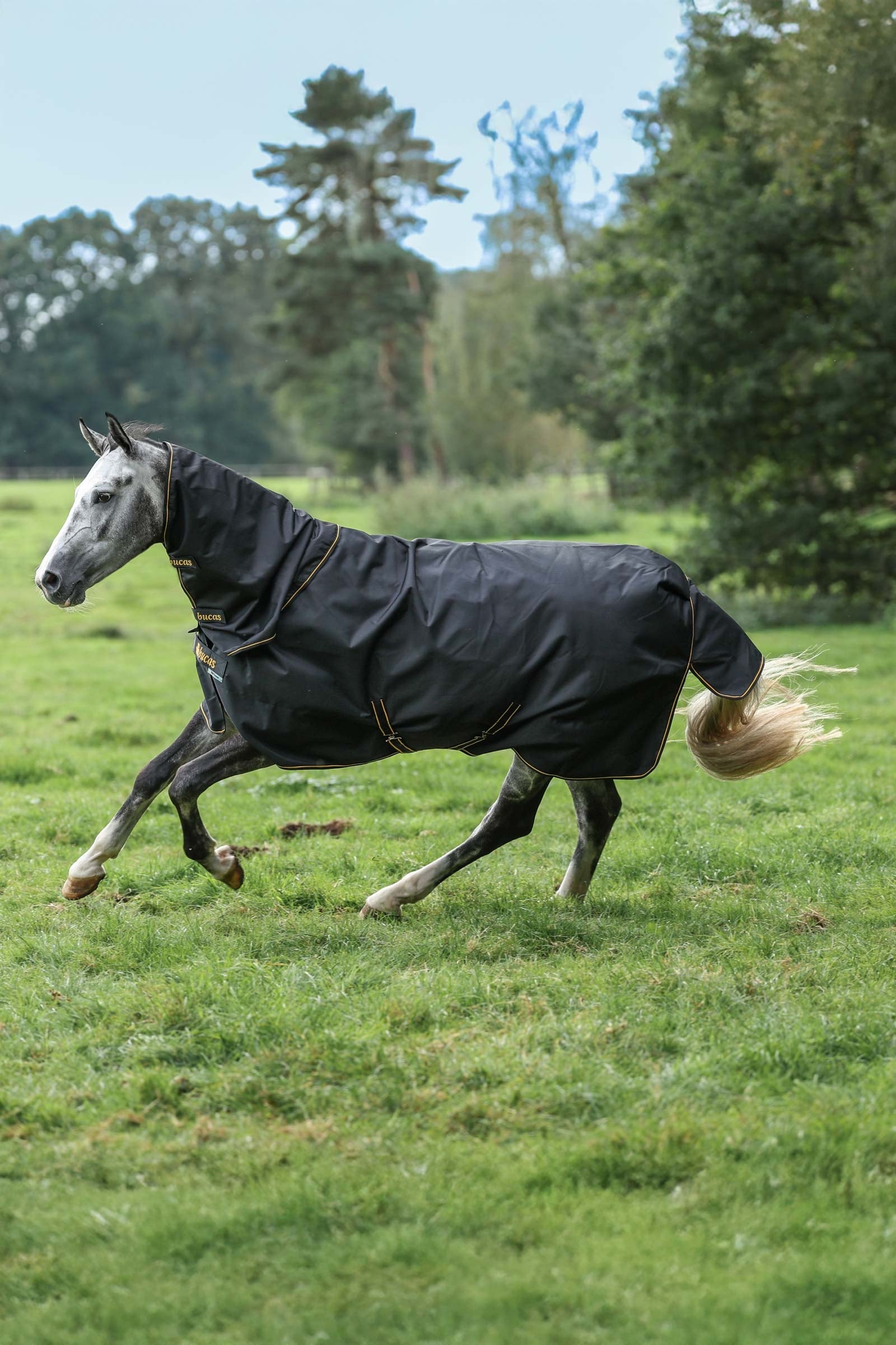 Bucas Irish Turnout 150 g Rug & Neck Set Hestedækken