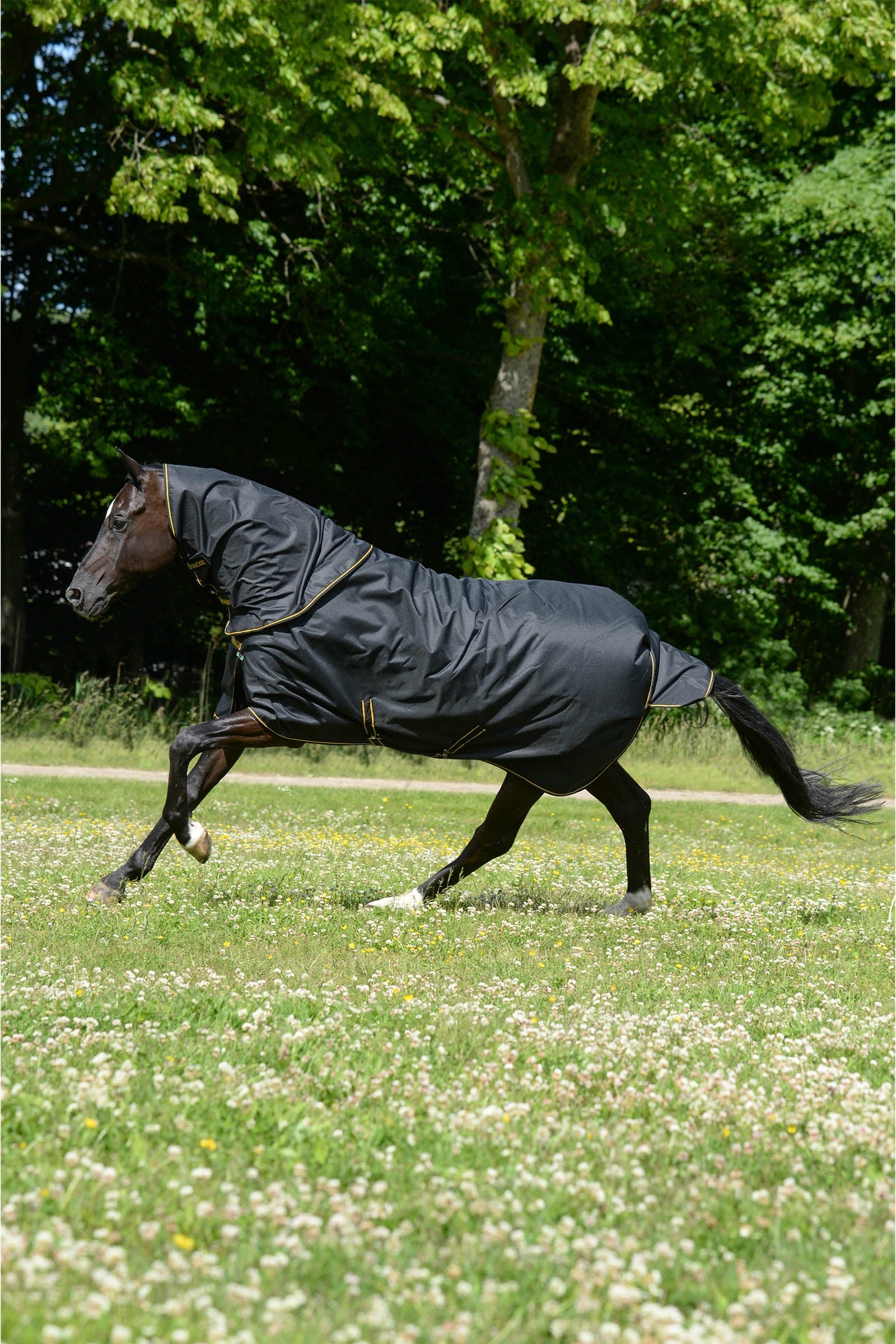 Bucas Irish Turnout 150 g Rug & Neck Set Horse Rugs