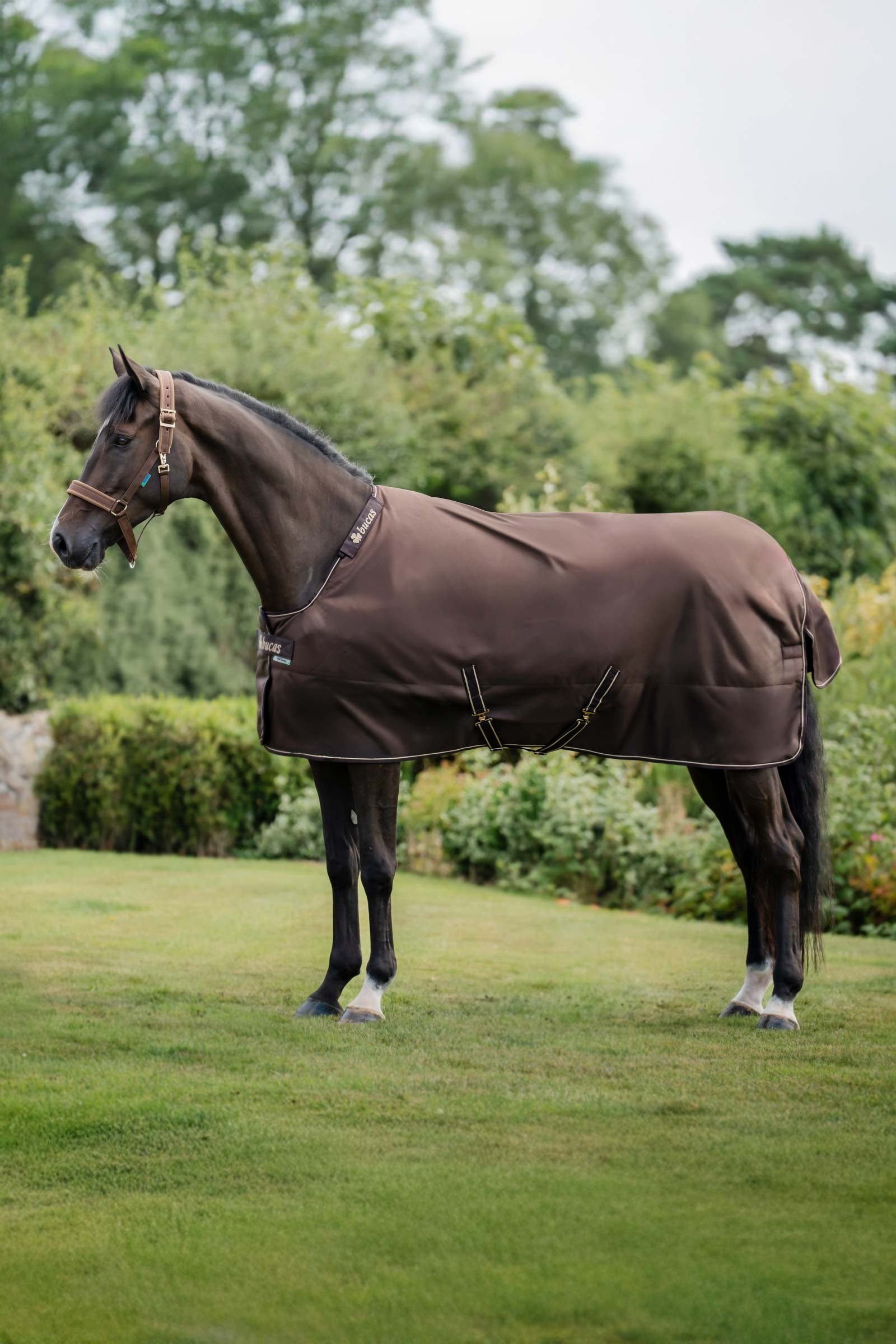 Bucas Irish Turnout 150 g Rug & Neck Set Hestedækken