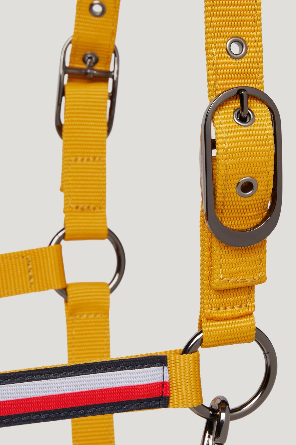 Tommy Hilfiger Equestrian Yale Set Halter and Rope Halters & Leads
