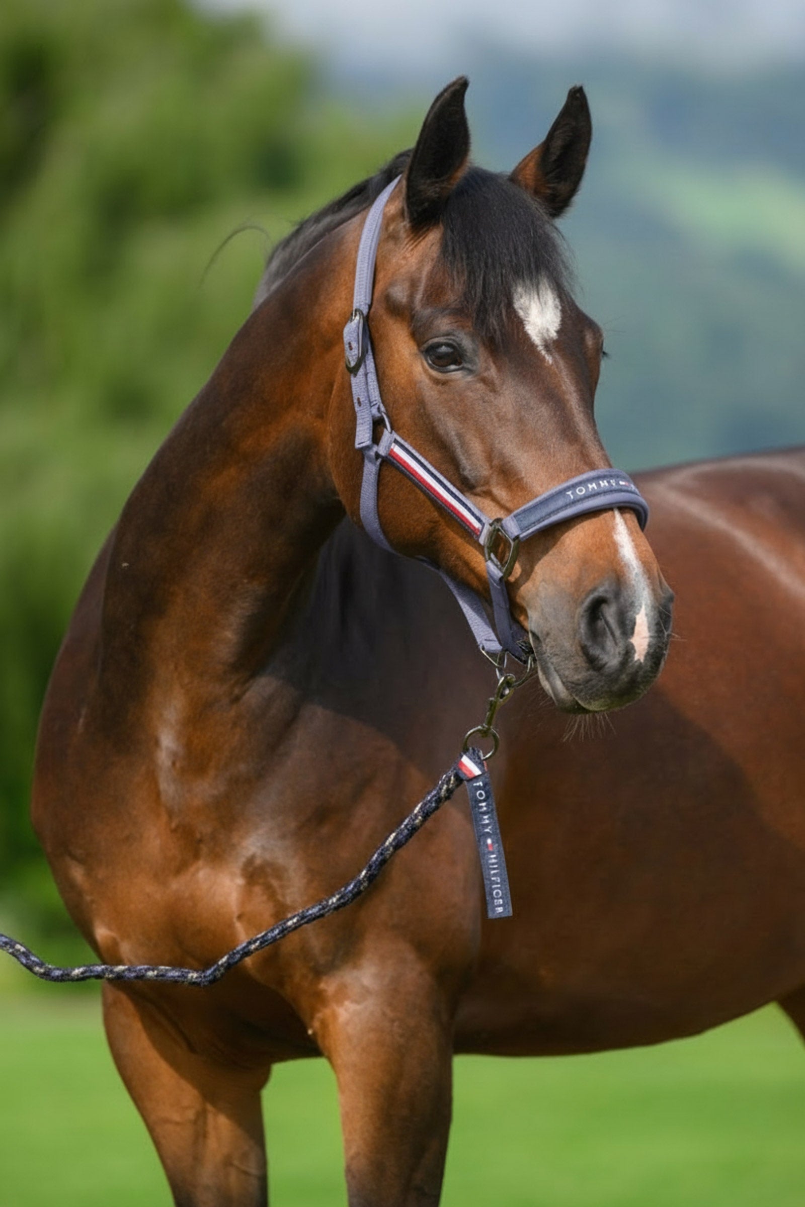 Tommy Hilfiger Equestrian Yale grime- og træktovsæt Grimer & Træktove