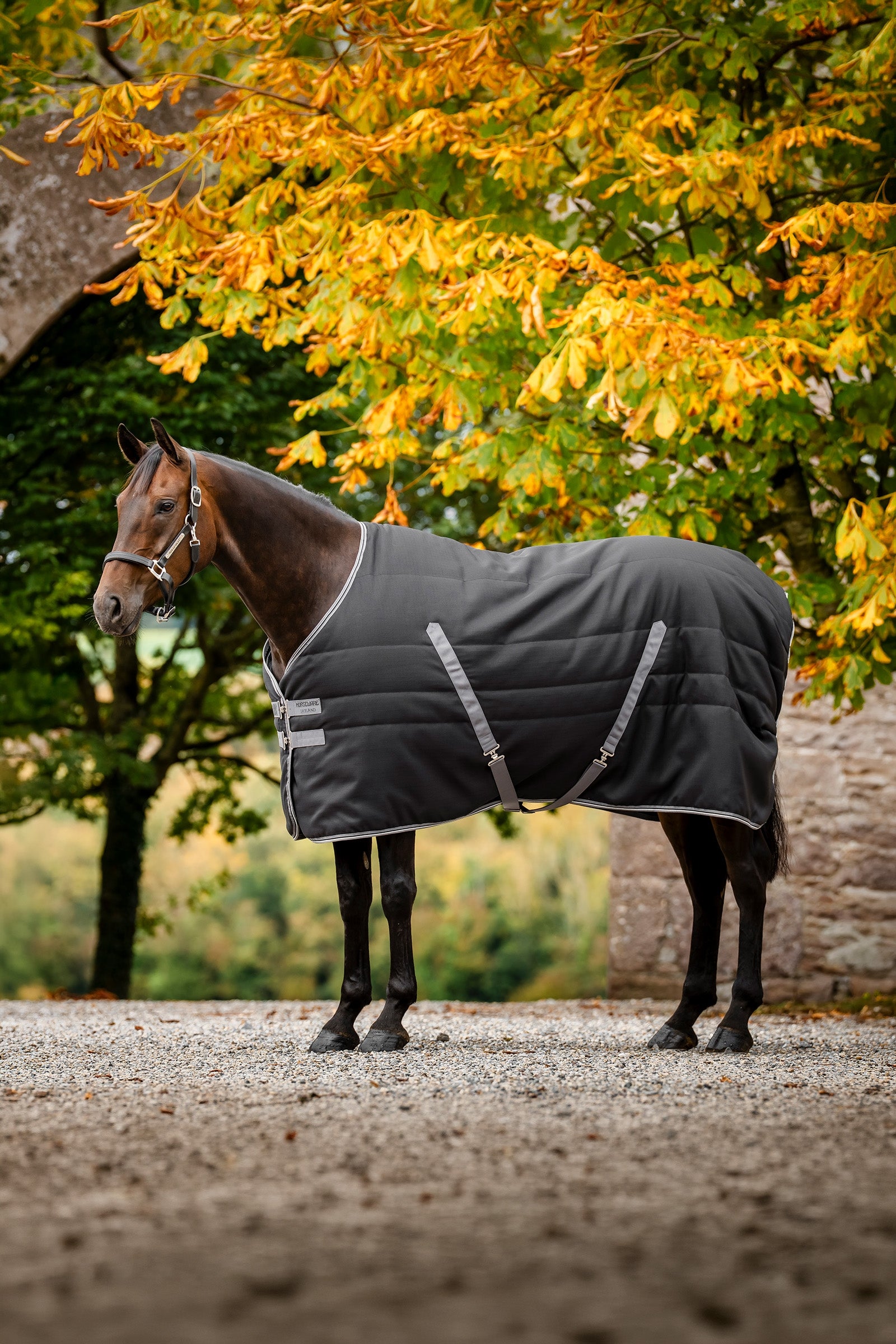 Horseware Rambo Stable 200 g Horse Rugs