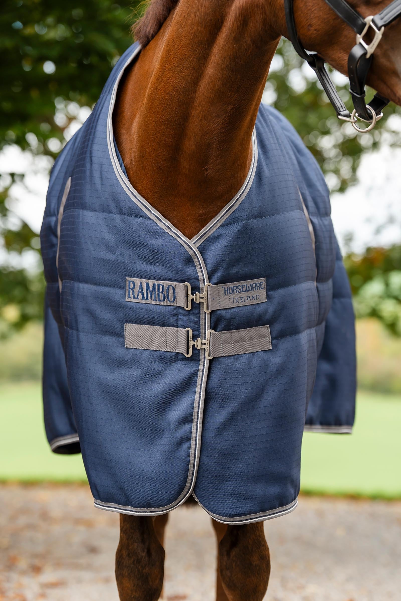 Horseware Rambo Stable 200 g Horse Rugs