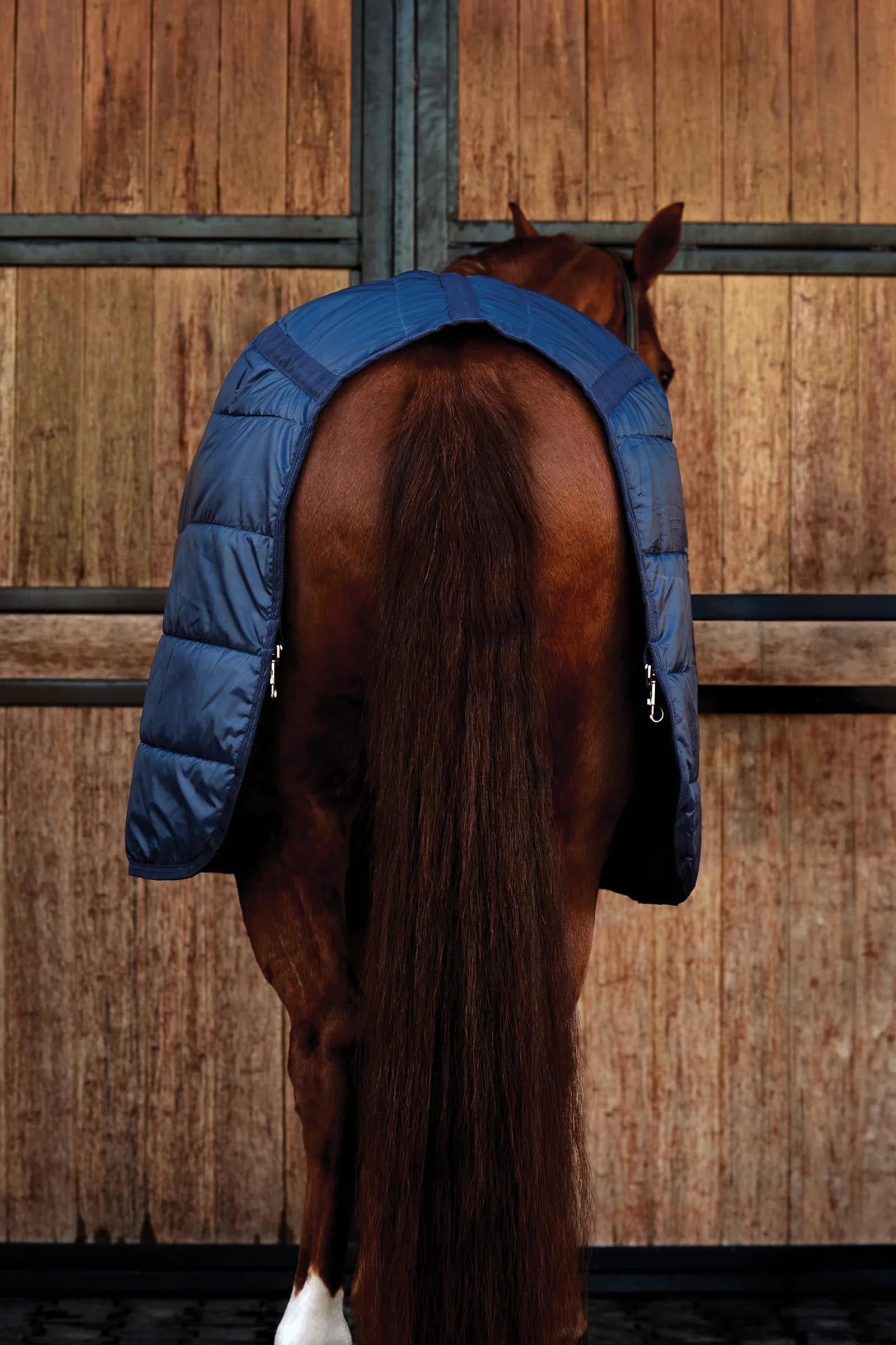 Weatherbeeta Comfitec Thermi-heat Liner 100g Horse Rugs