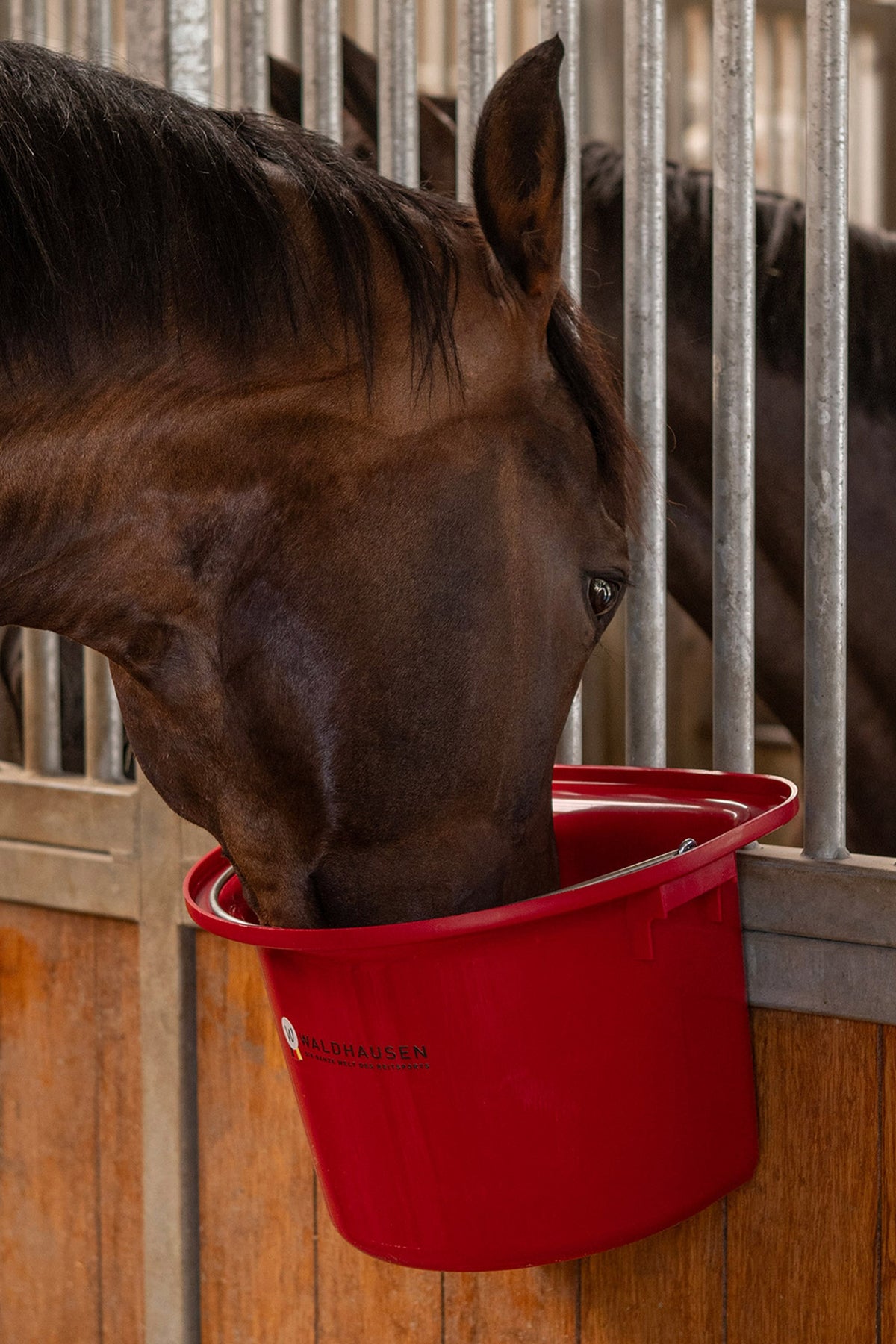 Waldhausen Portable Manger with Carrying Handle Horse Feeders & Waterers