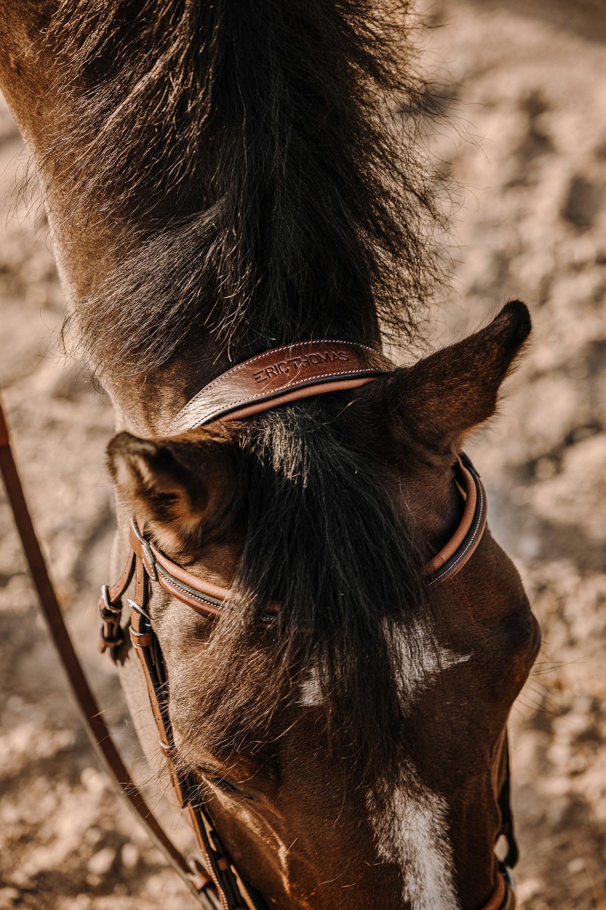 ERIC THOMAS Work Bridle Bridles & Reins
