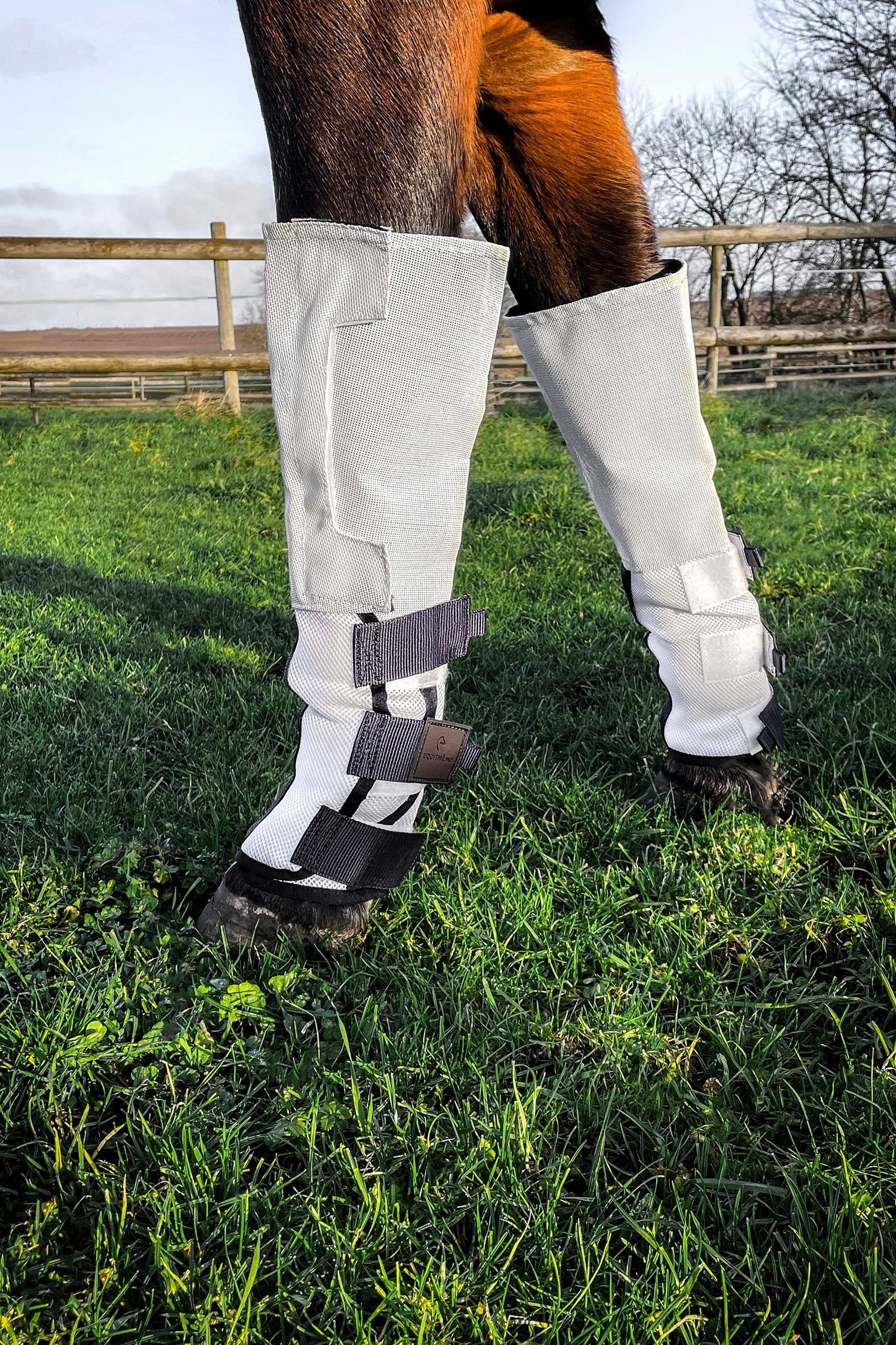 Equi Theme EQUITHÈME Pro Antifly Boot (4 pcs) Antifly Protection for Horses