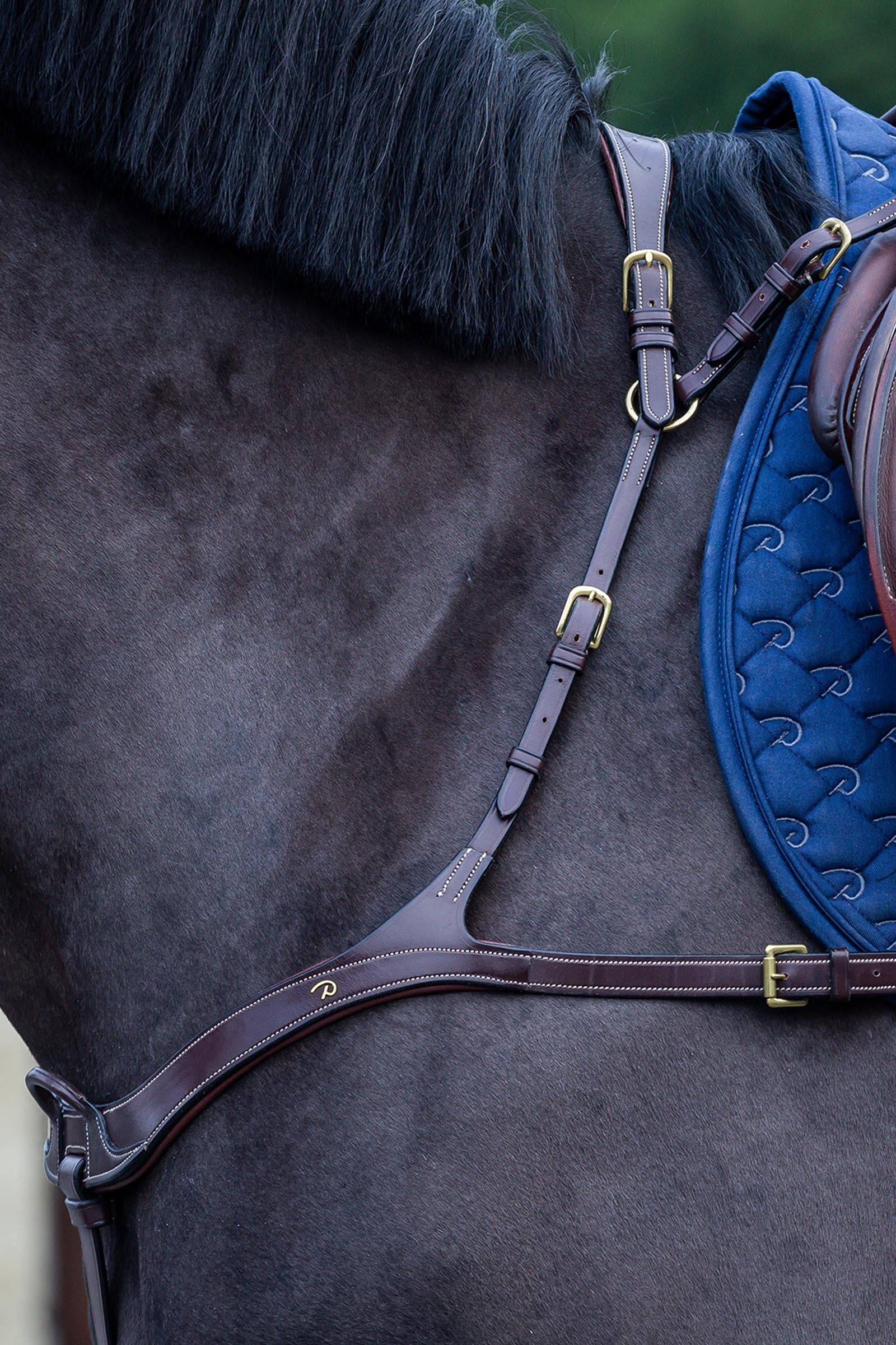 Dy'on D Collection Anatomical Breastplate Bridles & Reins