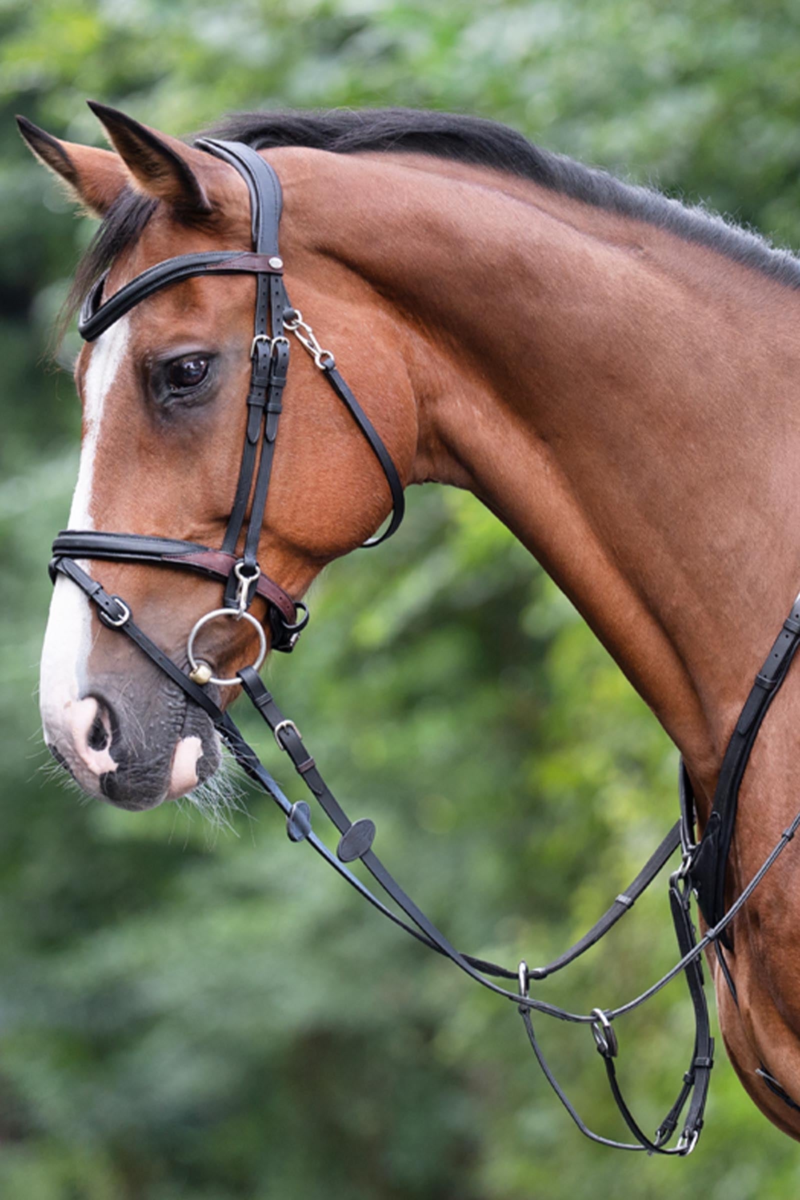 Kavalkade Azriel Martingale, Softly Padded Bridles & Reins