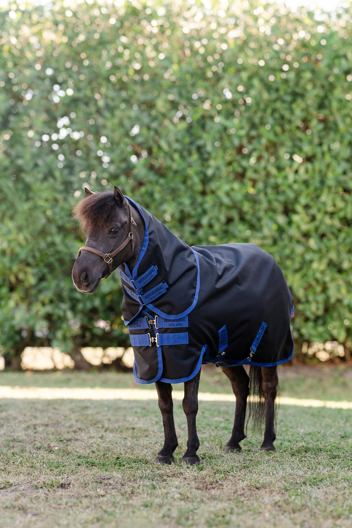 Horseware Amigo Ripstop 900D Plus Petite udedækken med aftagelig halsdel, 0 g Hestedækken