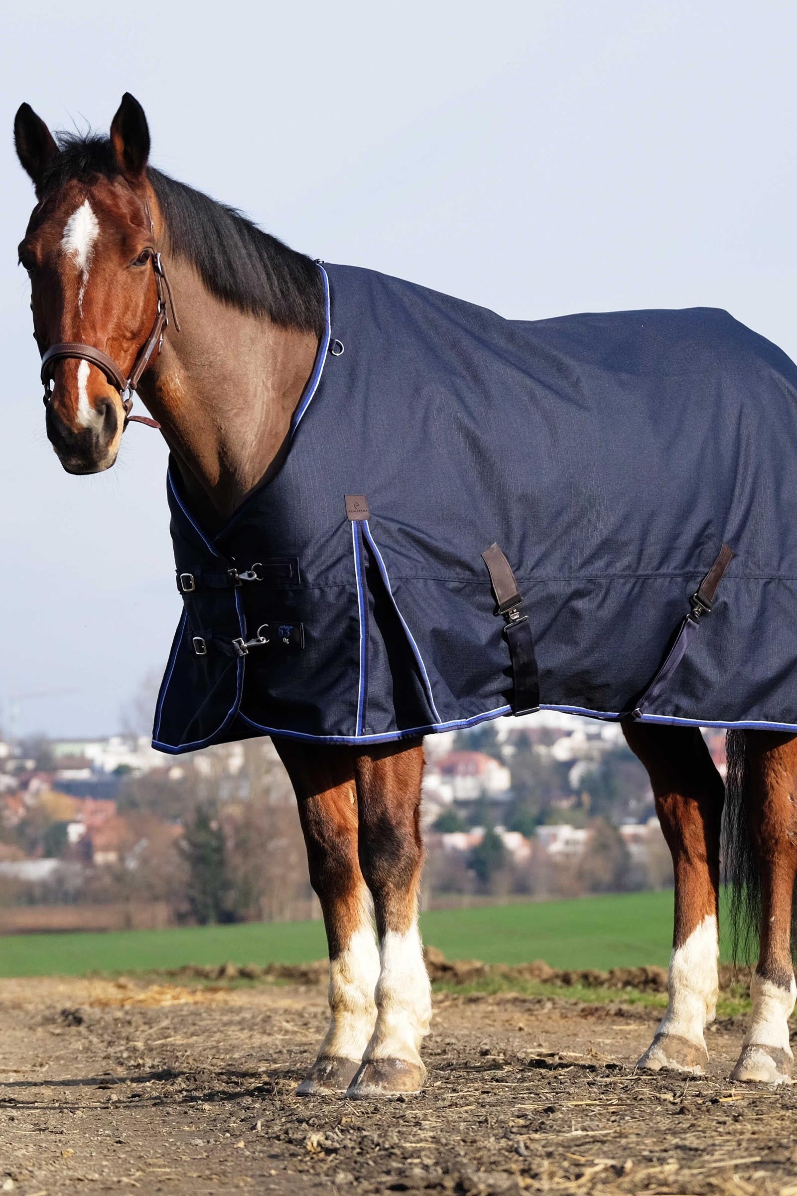 Equi Theme EQUITHÈME Classic 1200D Turnout Rug, 200 g Horse Rugs