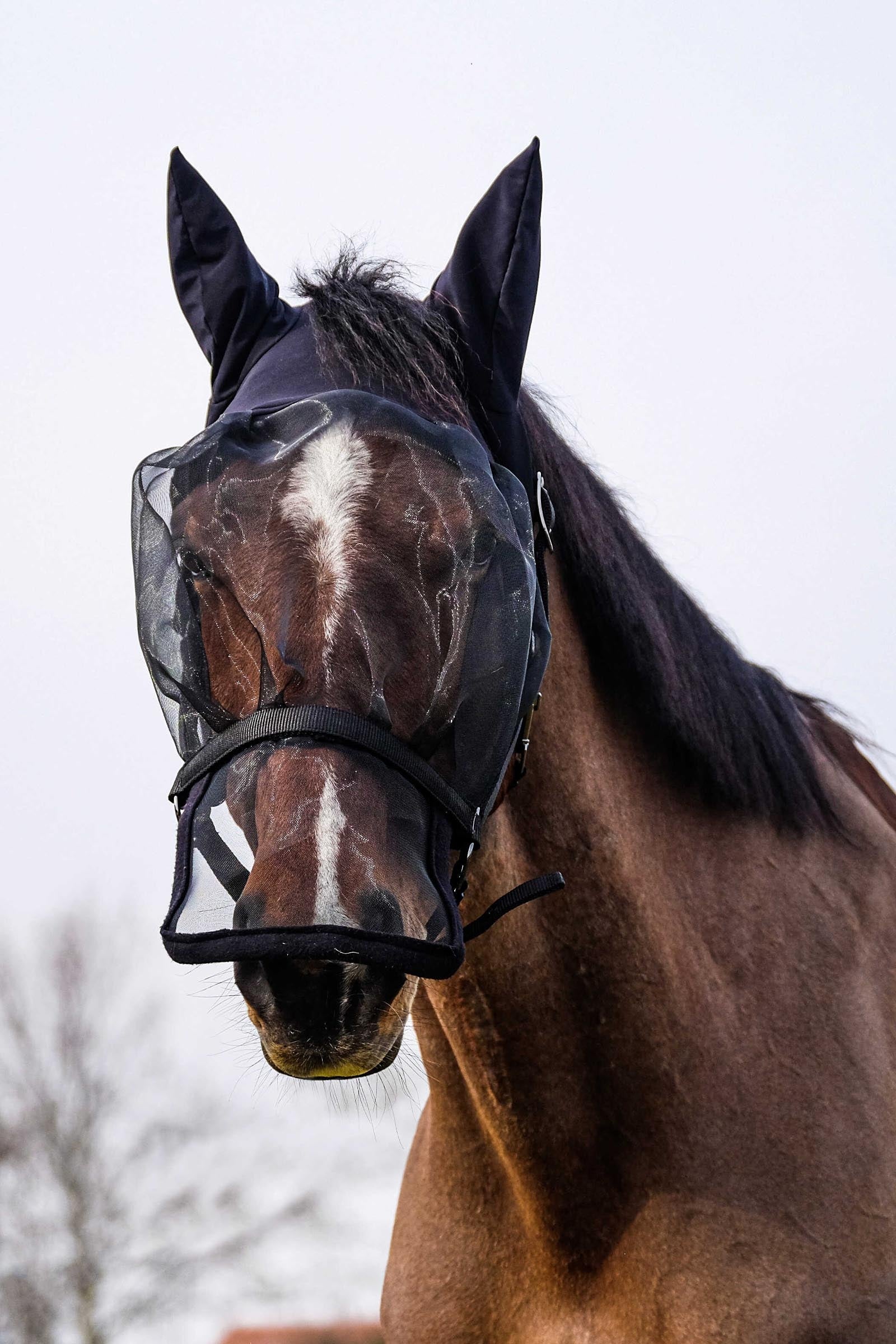 EQUITHÈME Halter + Anti UV Mask Antifly Protection for Horses