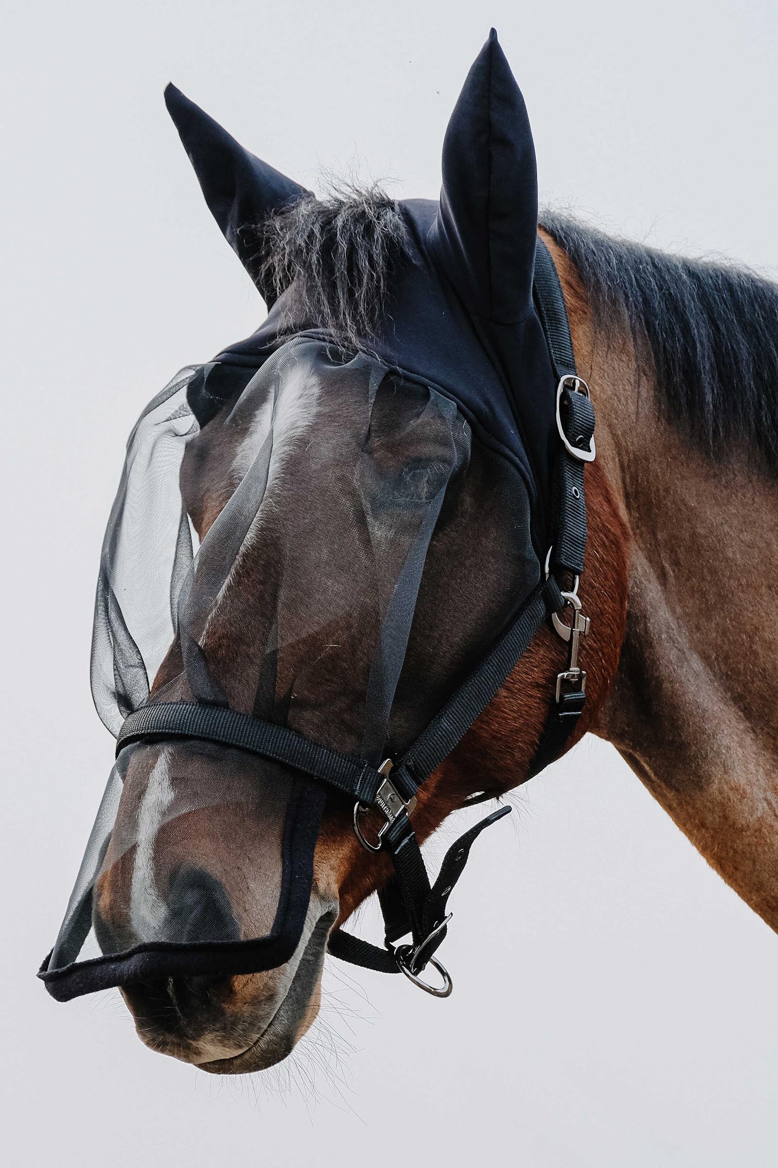 EQUITHÈME Halter + Anti UV Mask Antifly Protection for Horses