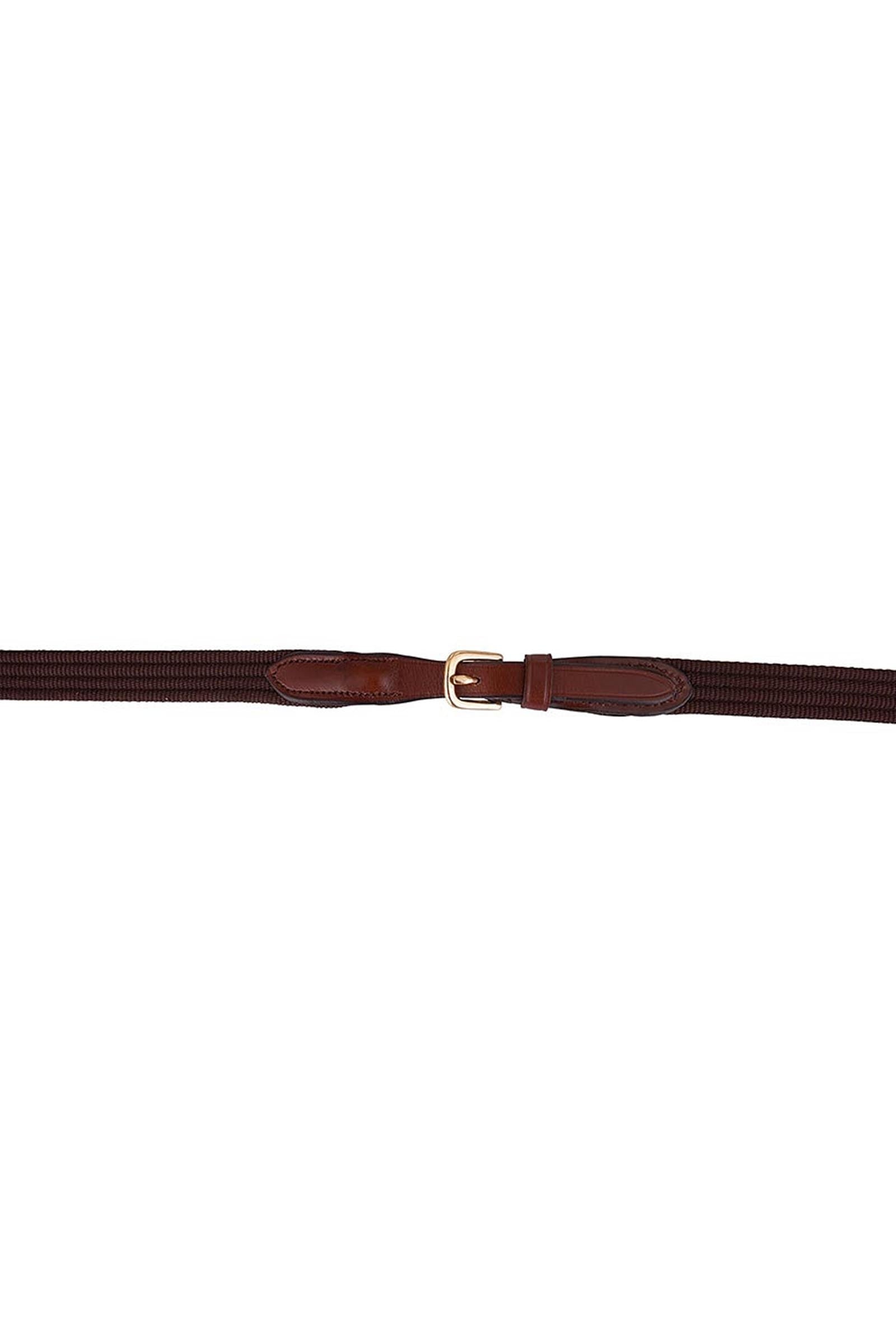BR Web Reins Bridles & Reins