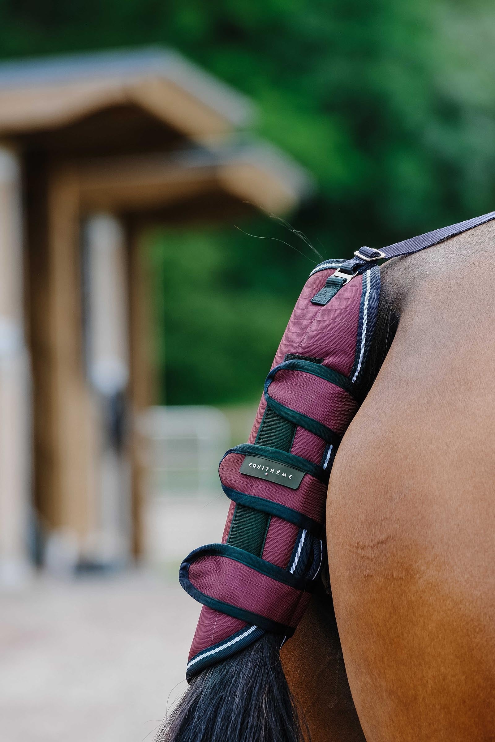 Equi Theme EQUITHÈME TYREX 1200D halebeskytter Leg & Hoof Protection