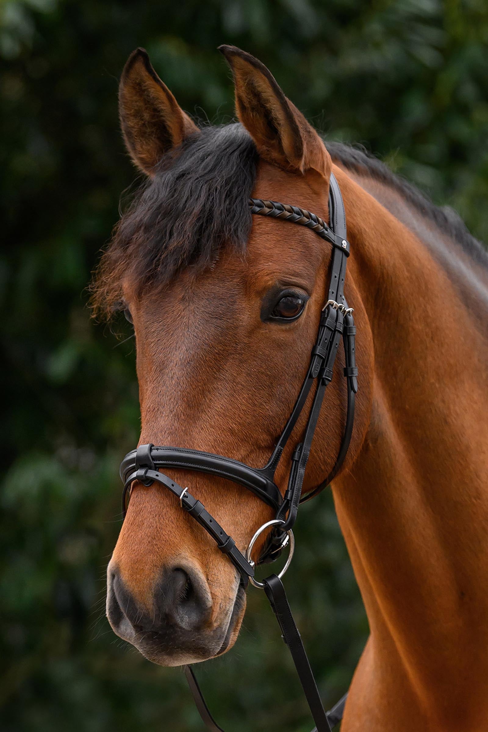 Waldhausen X-Line Braided Browband Bridles & Reins