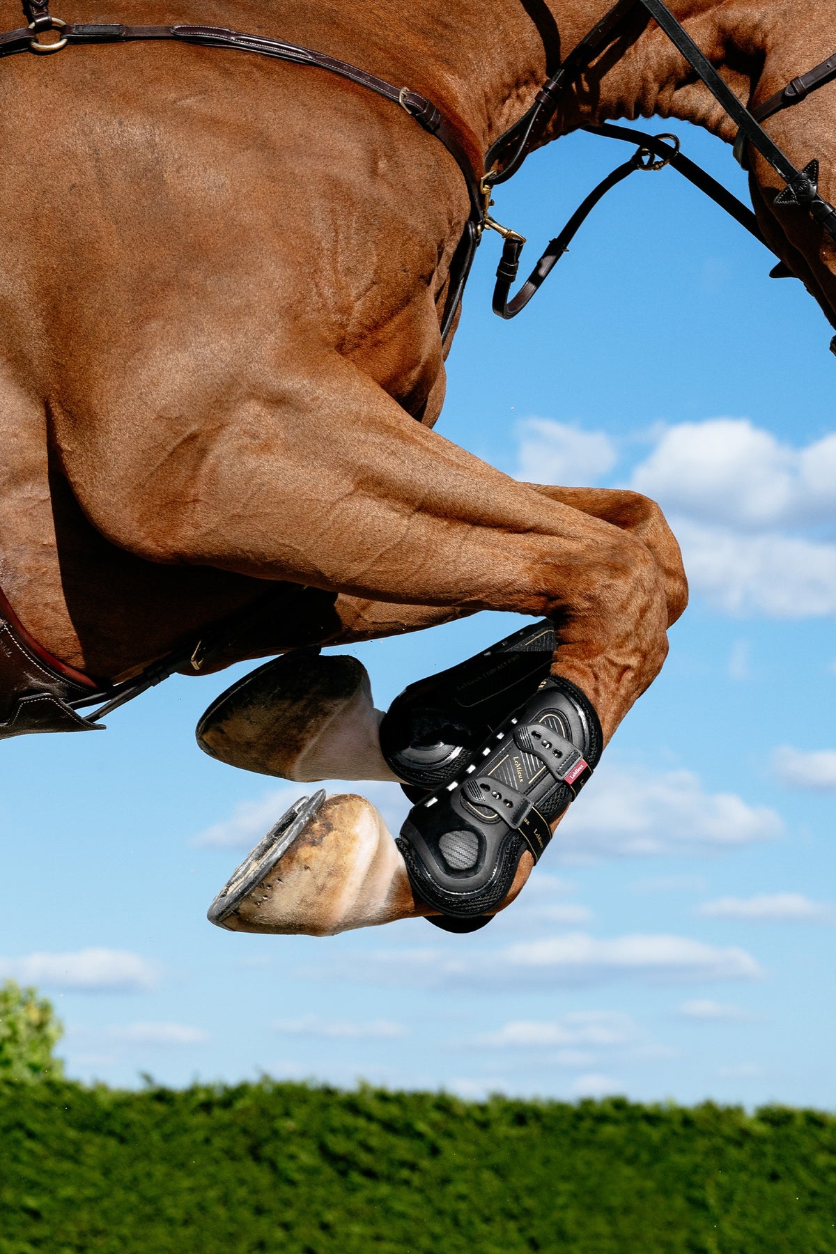 LeMieux Lemieux Impact Pro Tendon Boot Leg & Hoof Protection