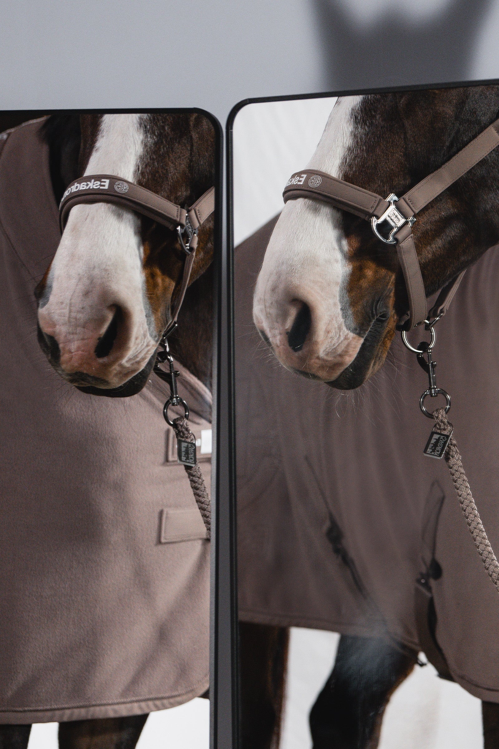 Eskadron Dynamic AW26 Softshell Double PIN Headcollar Halters & Leads