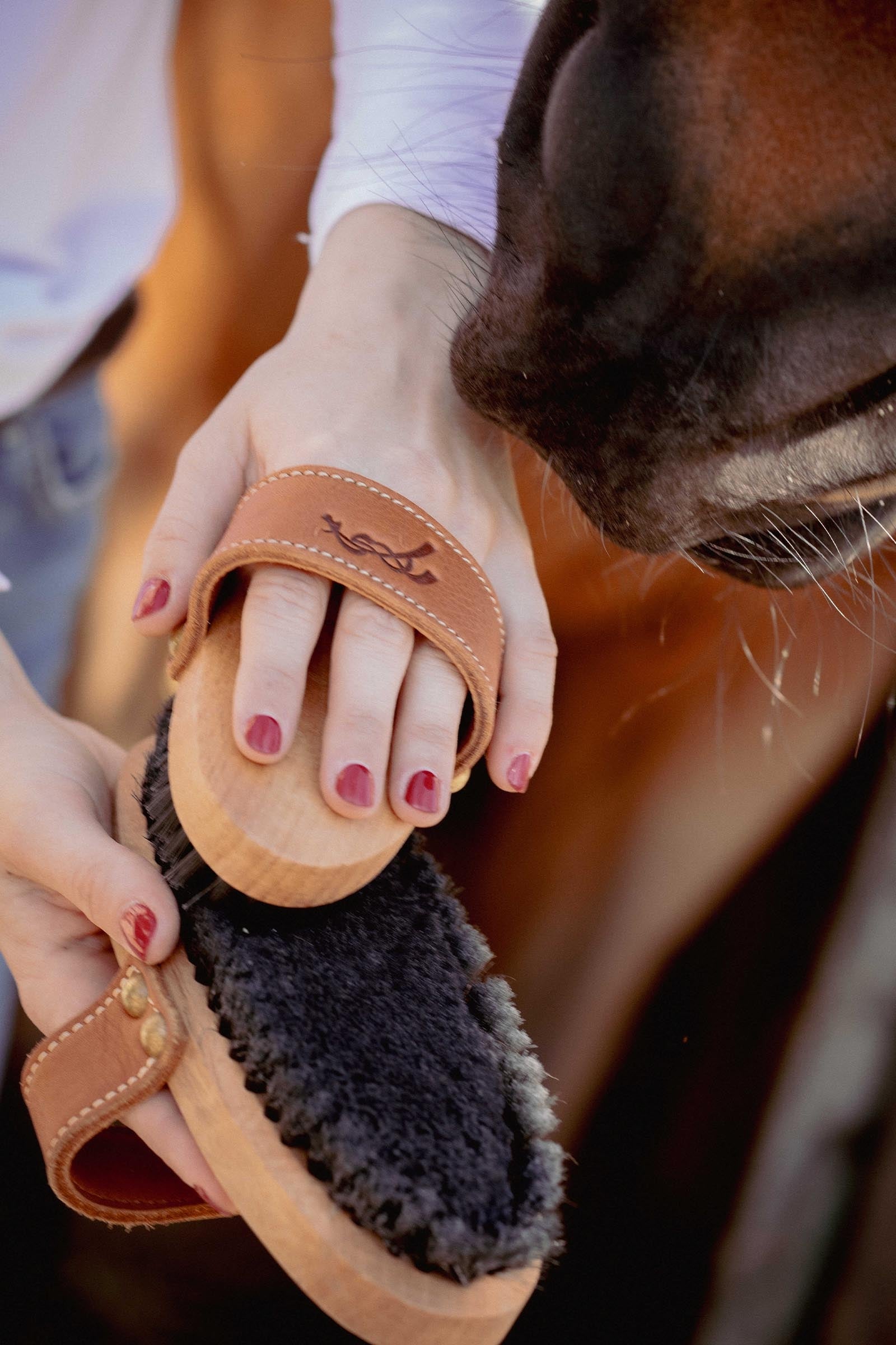 PENELOPE Dandy Brush, Large Horse Grooming Tools