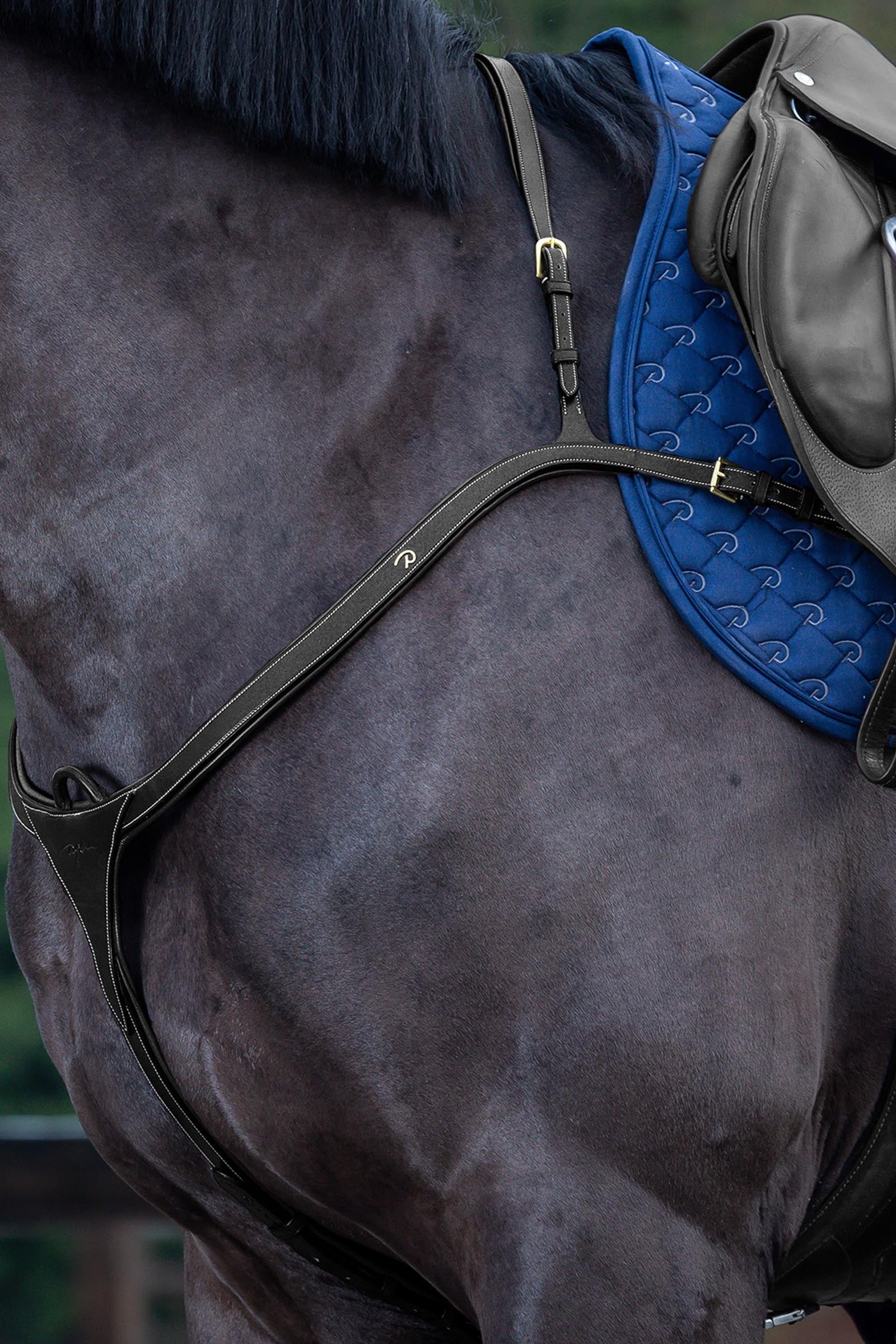 Dy'on D Collection fortøj med lang bro Trenser & tøjler