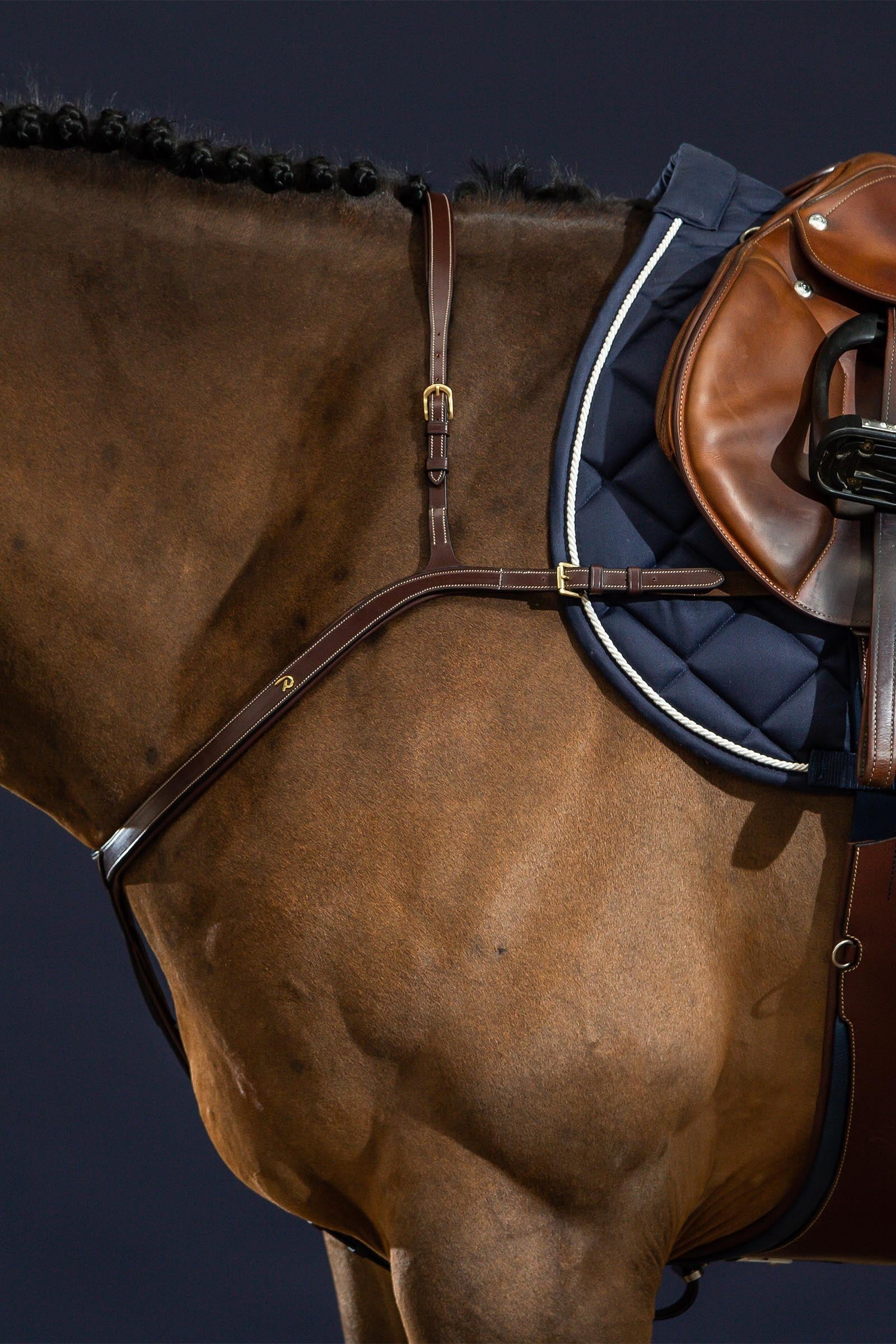 Dy'on D Collection Long Bridge Breastplate  Bridles & Reins