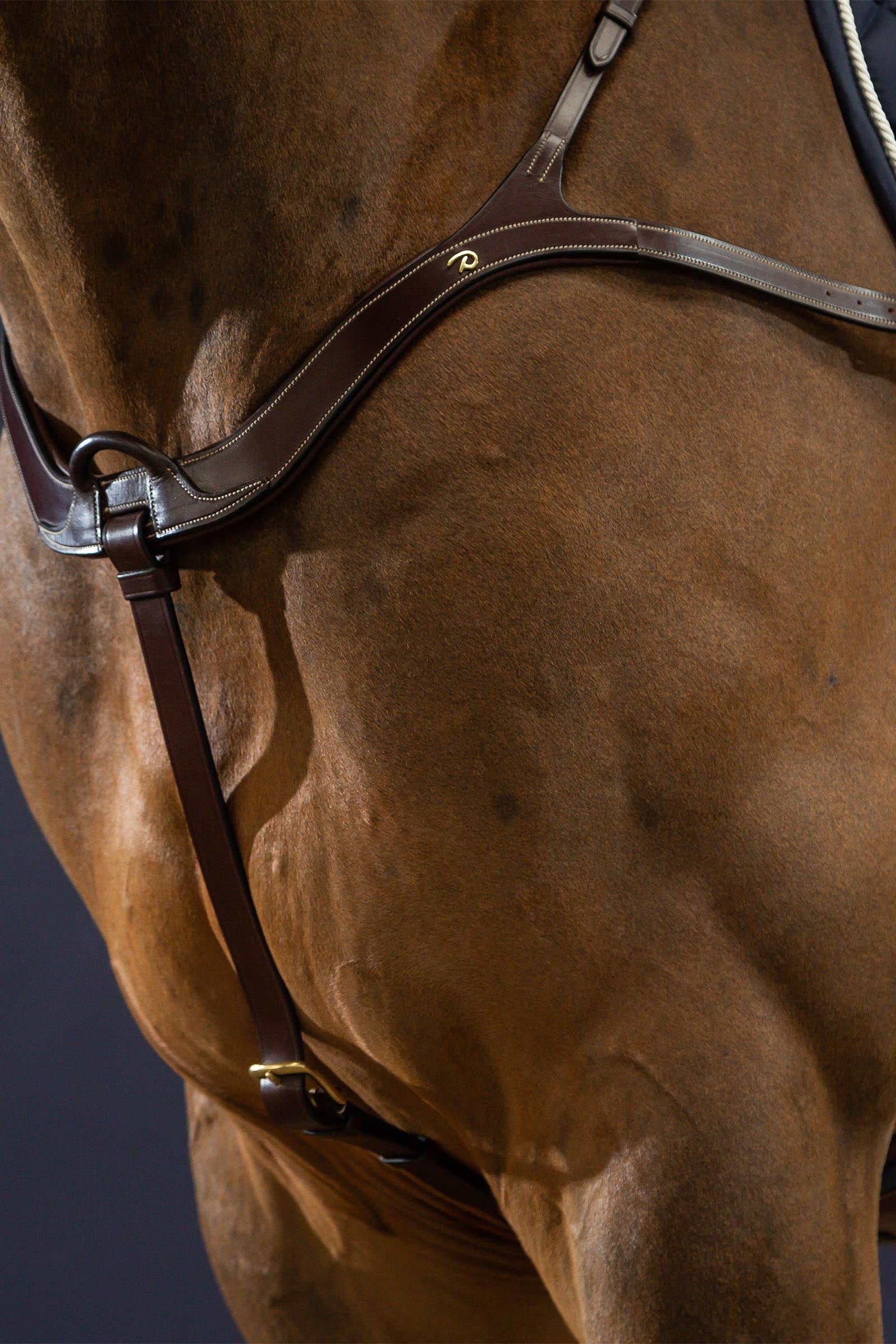 Dy'on D Collection Long Bridge Breastplate  Bridles & Reins