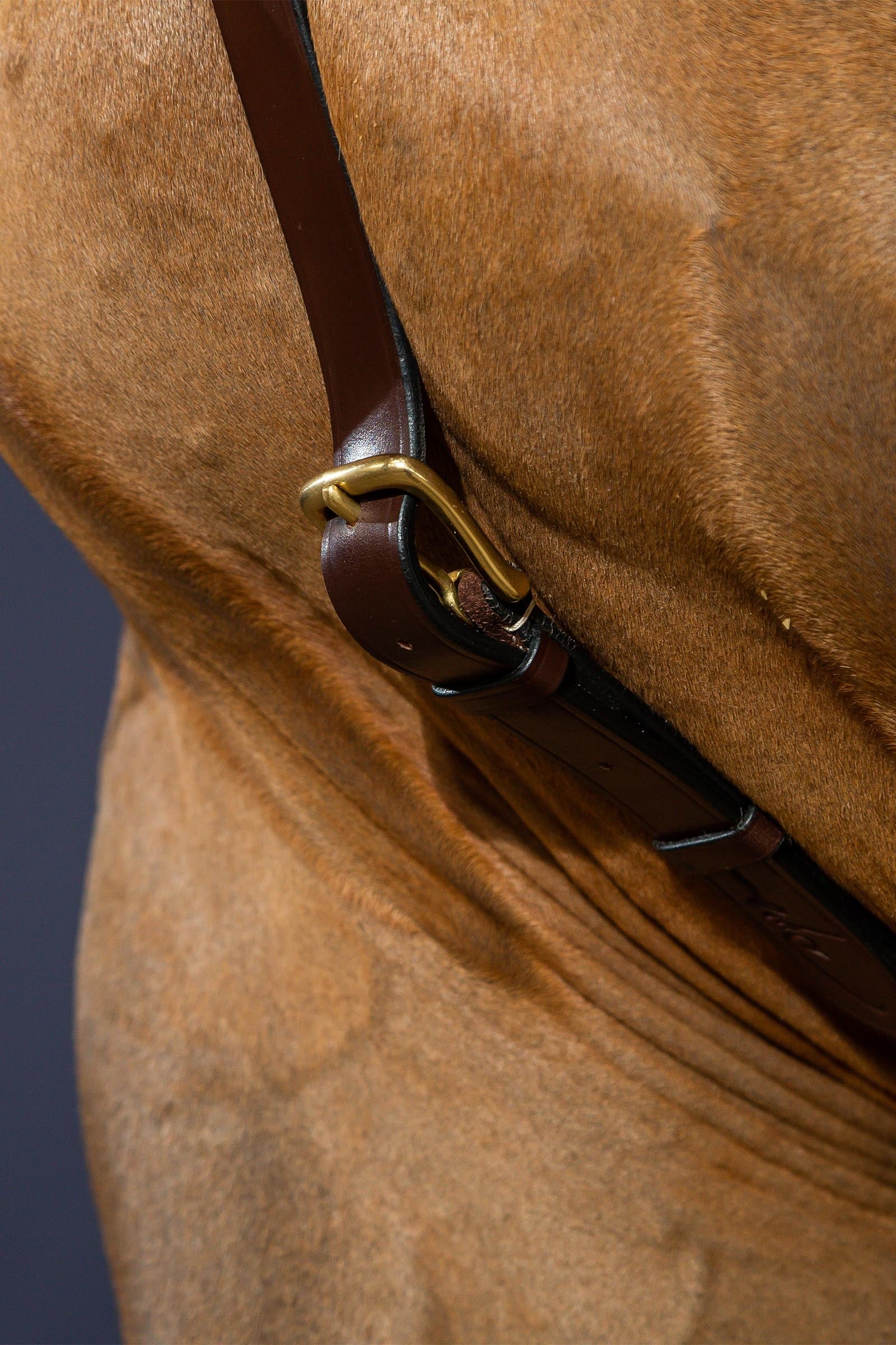 Dy'on D Collection Long Bridge Breastplate  Bridles & Reins