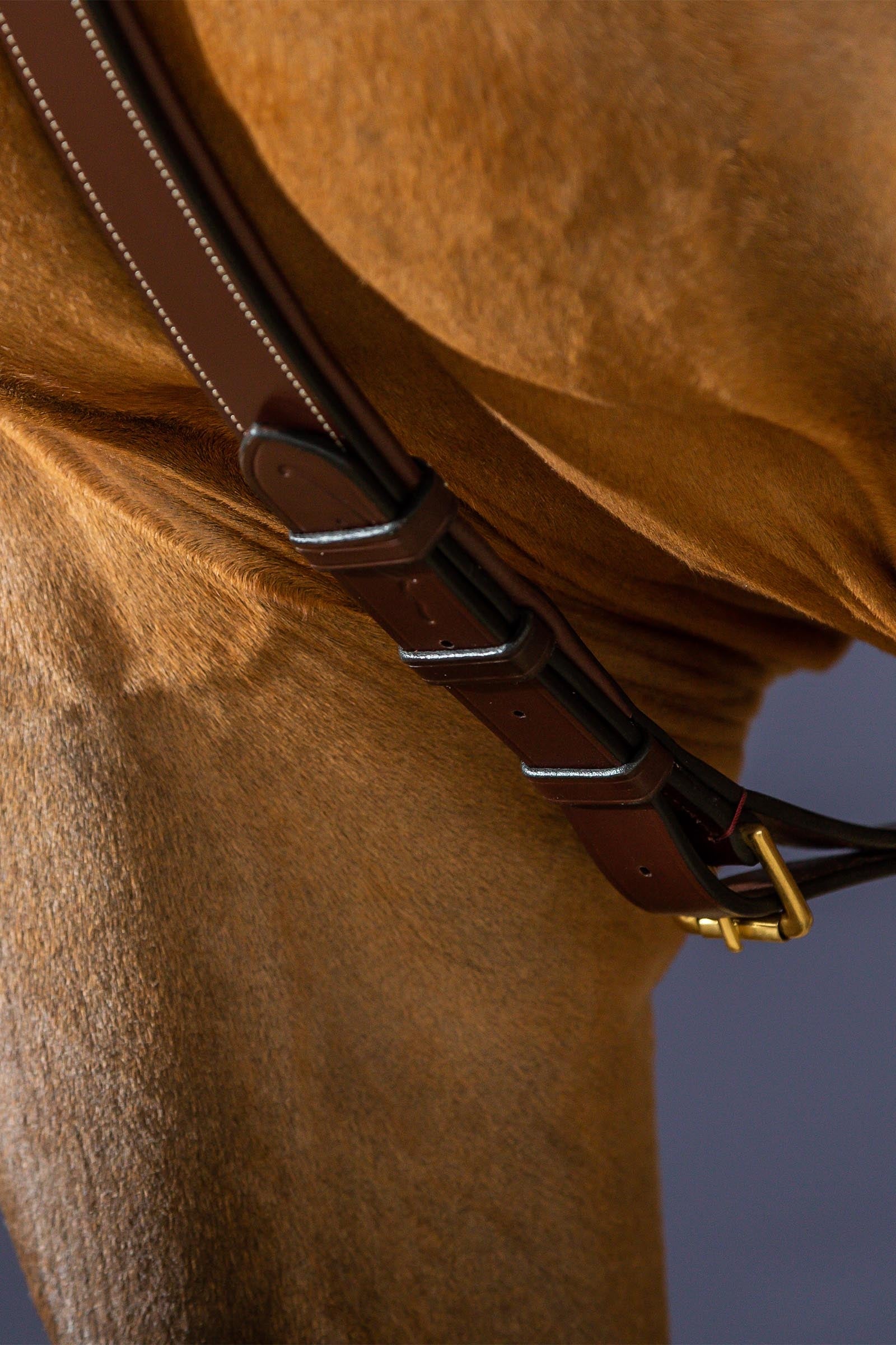 Dy'on D Collection Long Bridge Breastplate  Bridles & Reins