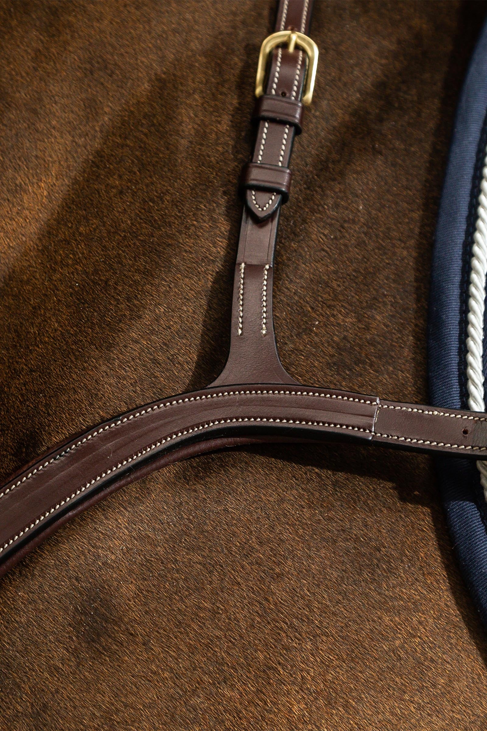 Dy'on D Collection Long Bridge Breastplate  Bridles & Reins