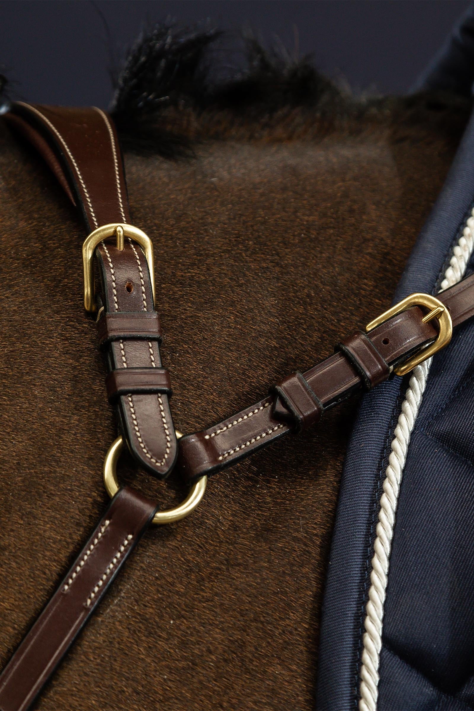 Dy'on D Collection Long Bridge Breastplate  Bridles & Reins