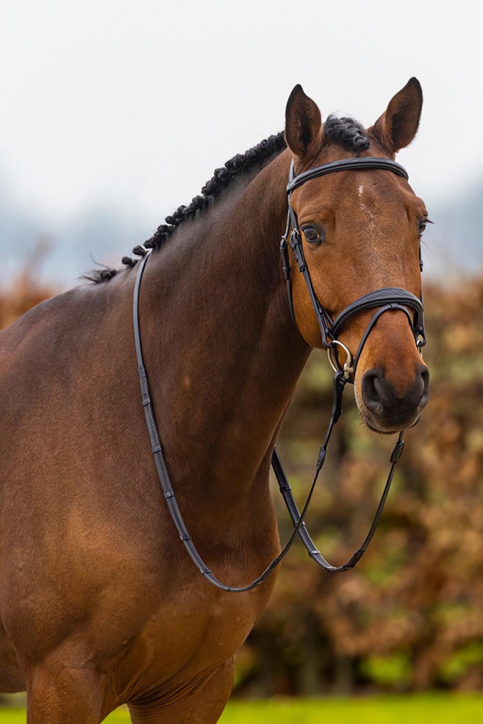 Trust Equestrian Amsterdam Combined Noseband Anatomic Bridle Bridles & Reins