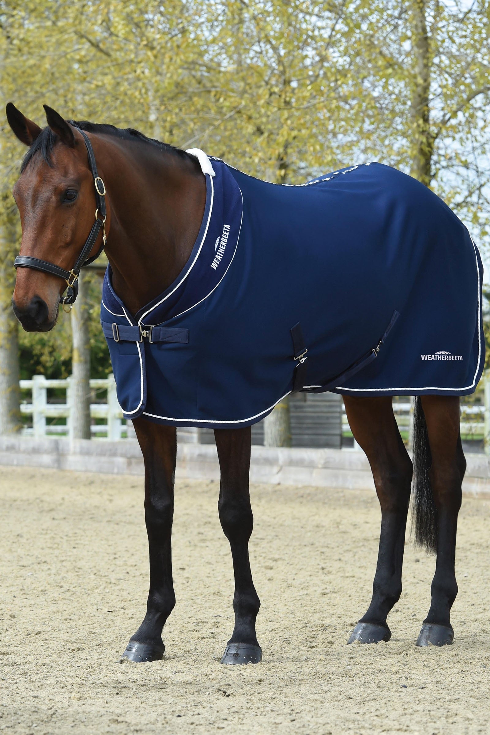 Weatherbeeta Opulence Show dækken Standard hals Hestedækken