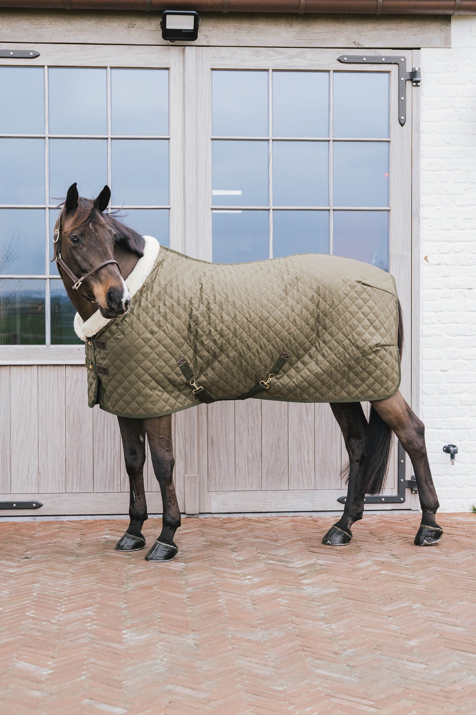 Kentucky Horsewear Show-dækken, 160 g Hestedækken